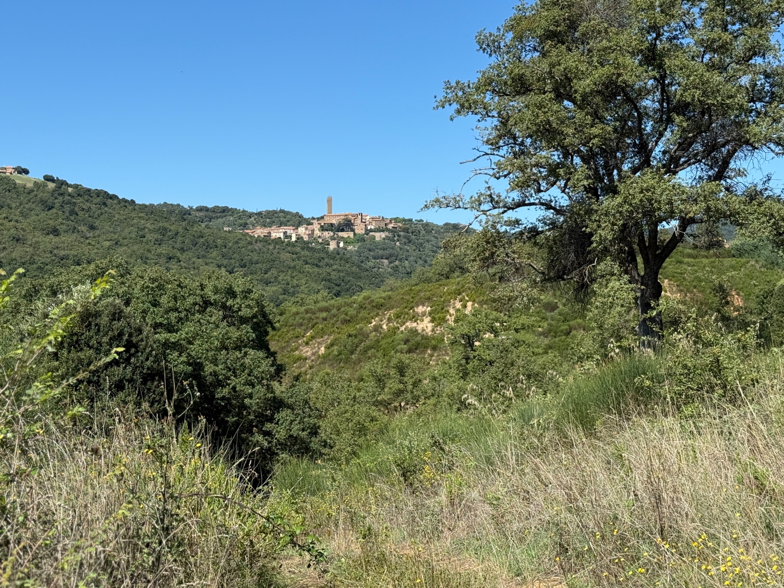IMG_0697.jpeg