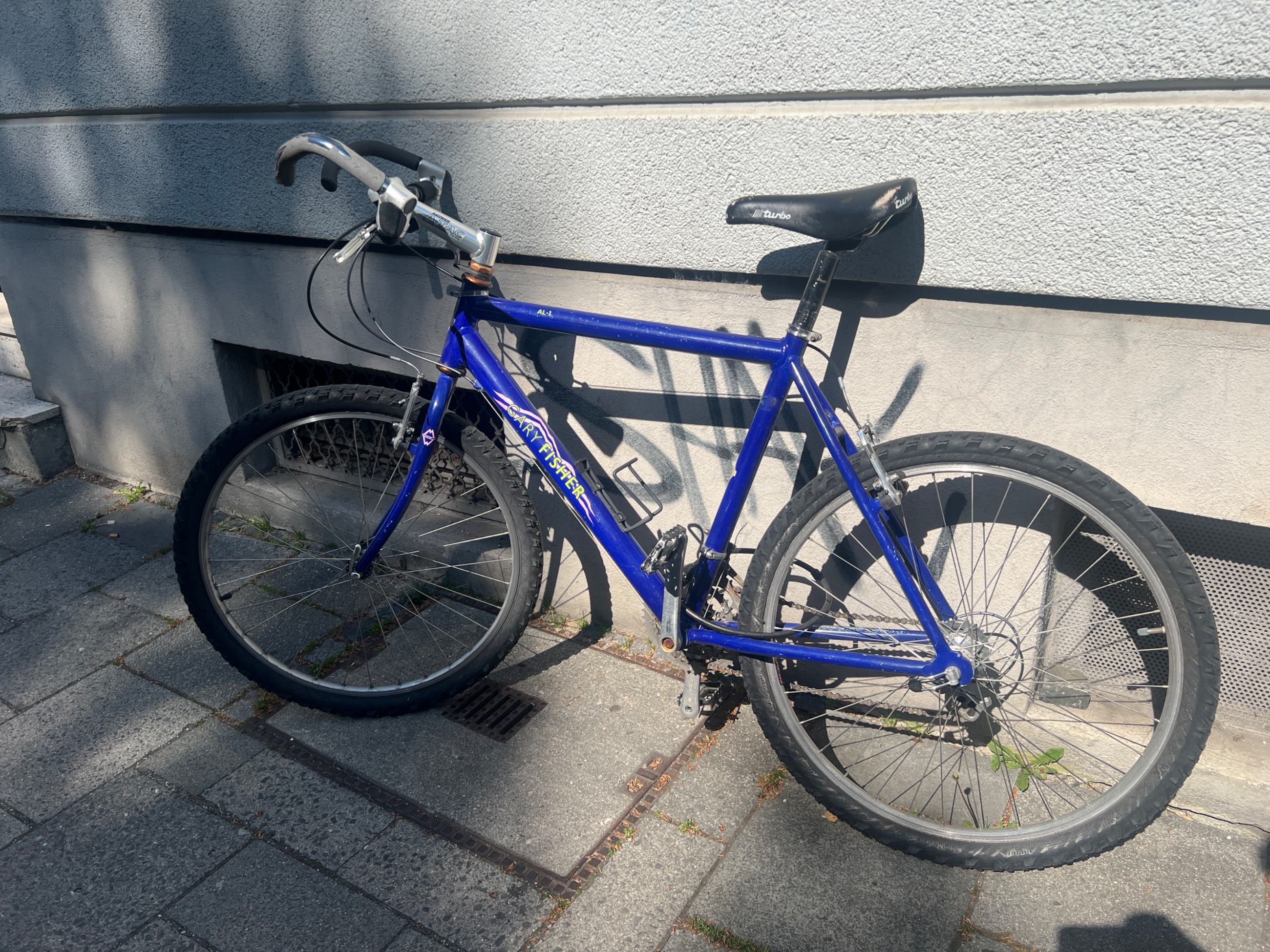 IMG_0725.jpeg
