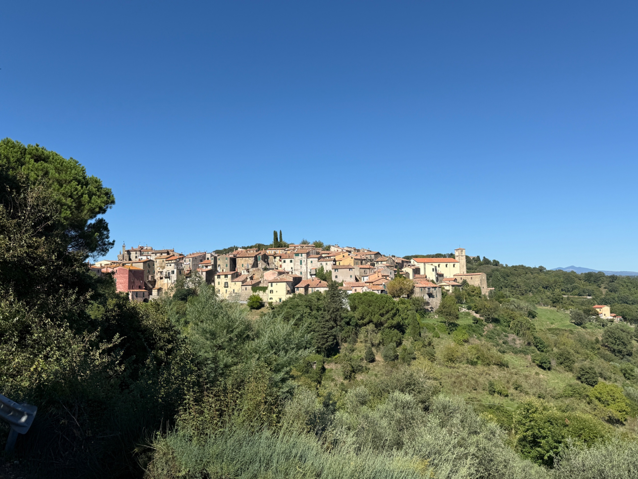 IMG_0726.jpeg