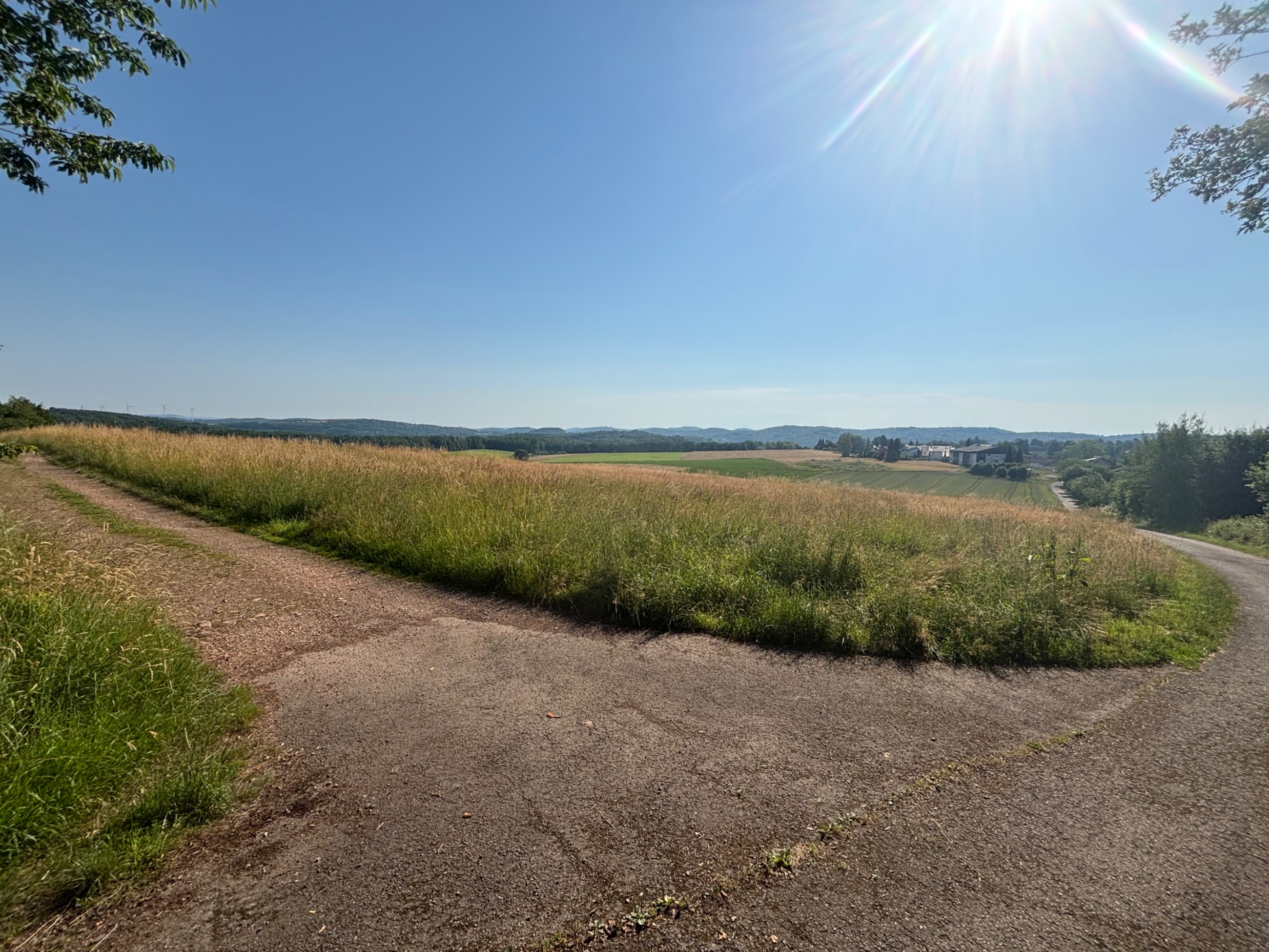 IMG_0765.jpeg