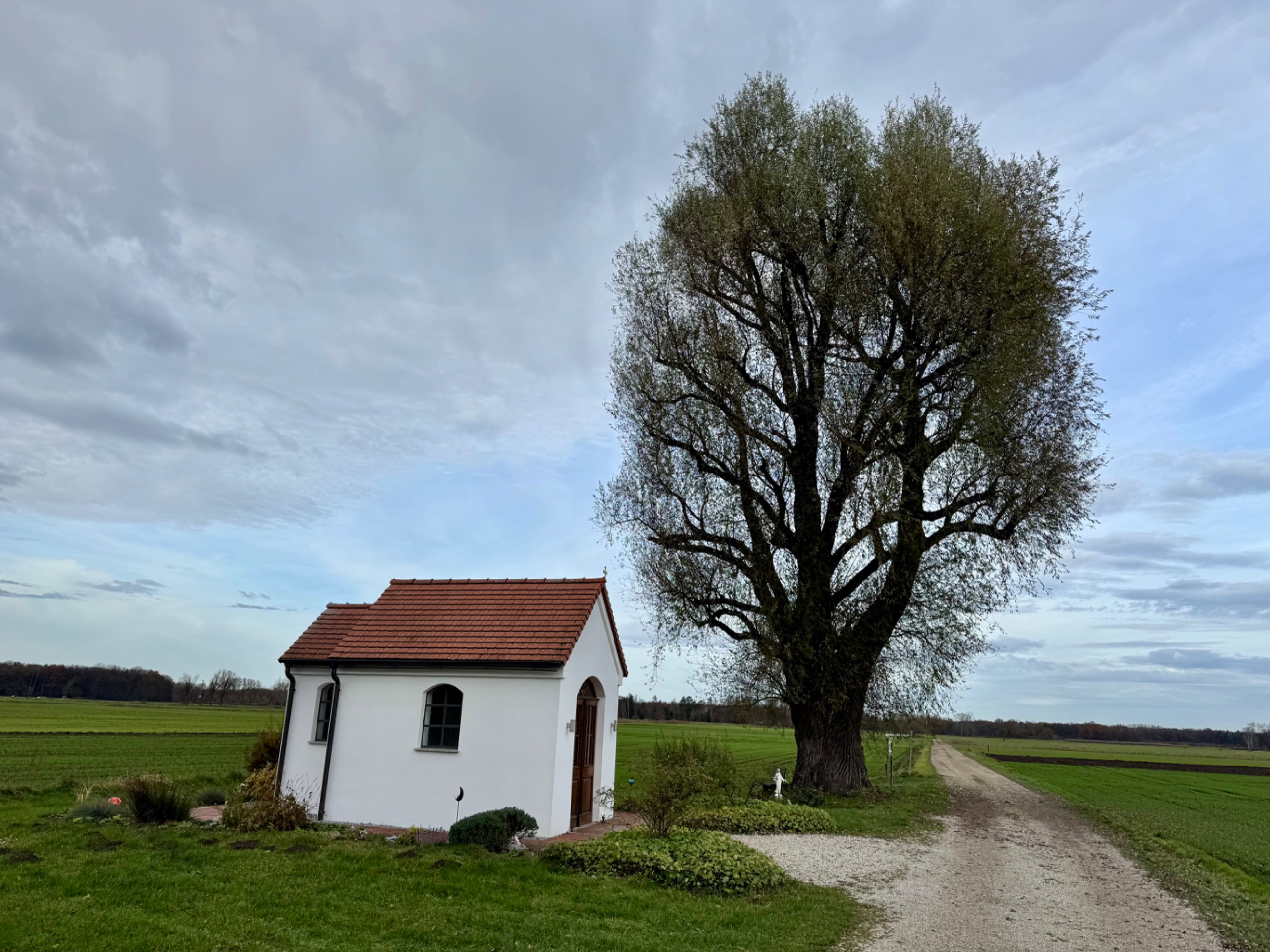 IMG_0891.jpeg