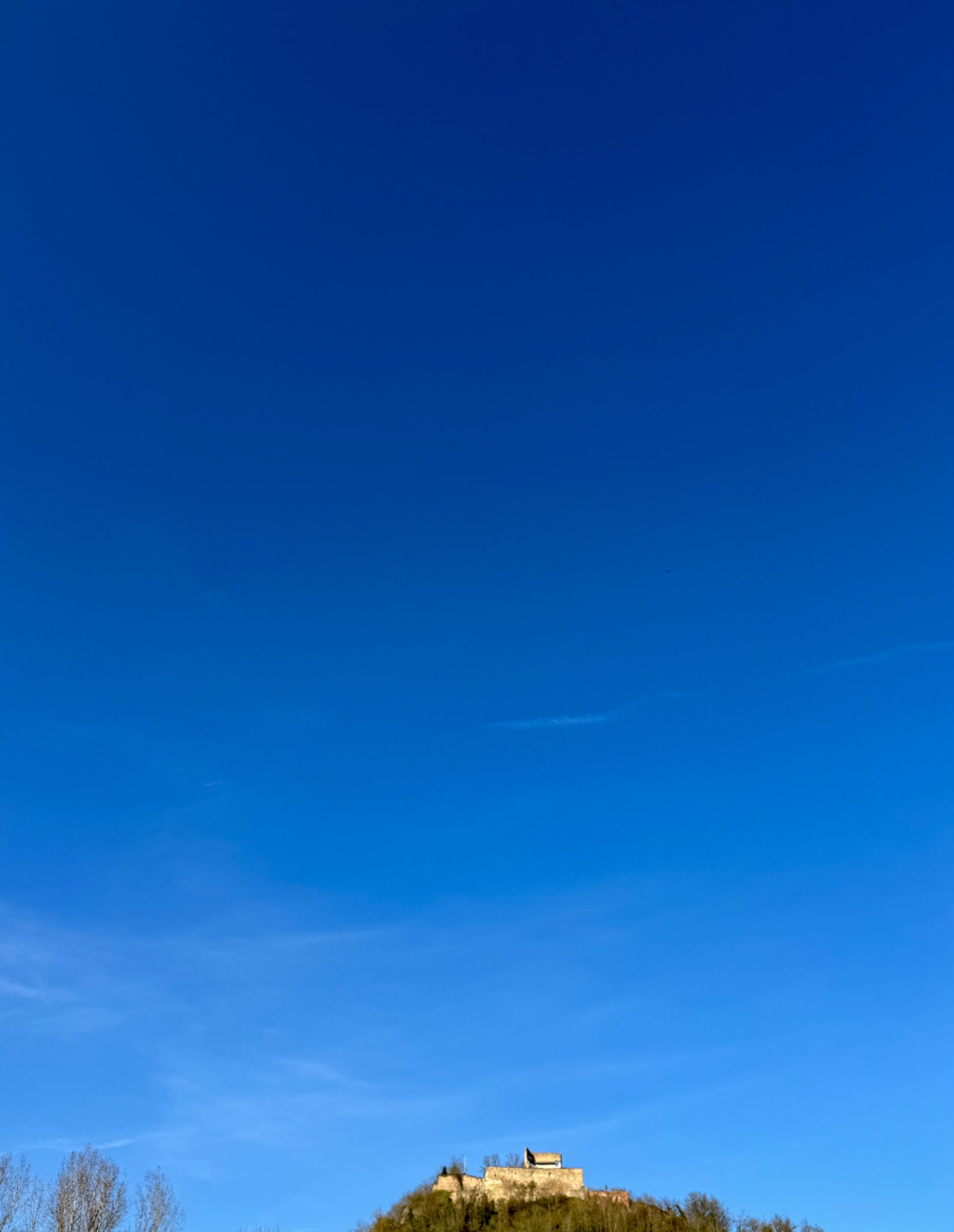 IMG_0919.jpeg