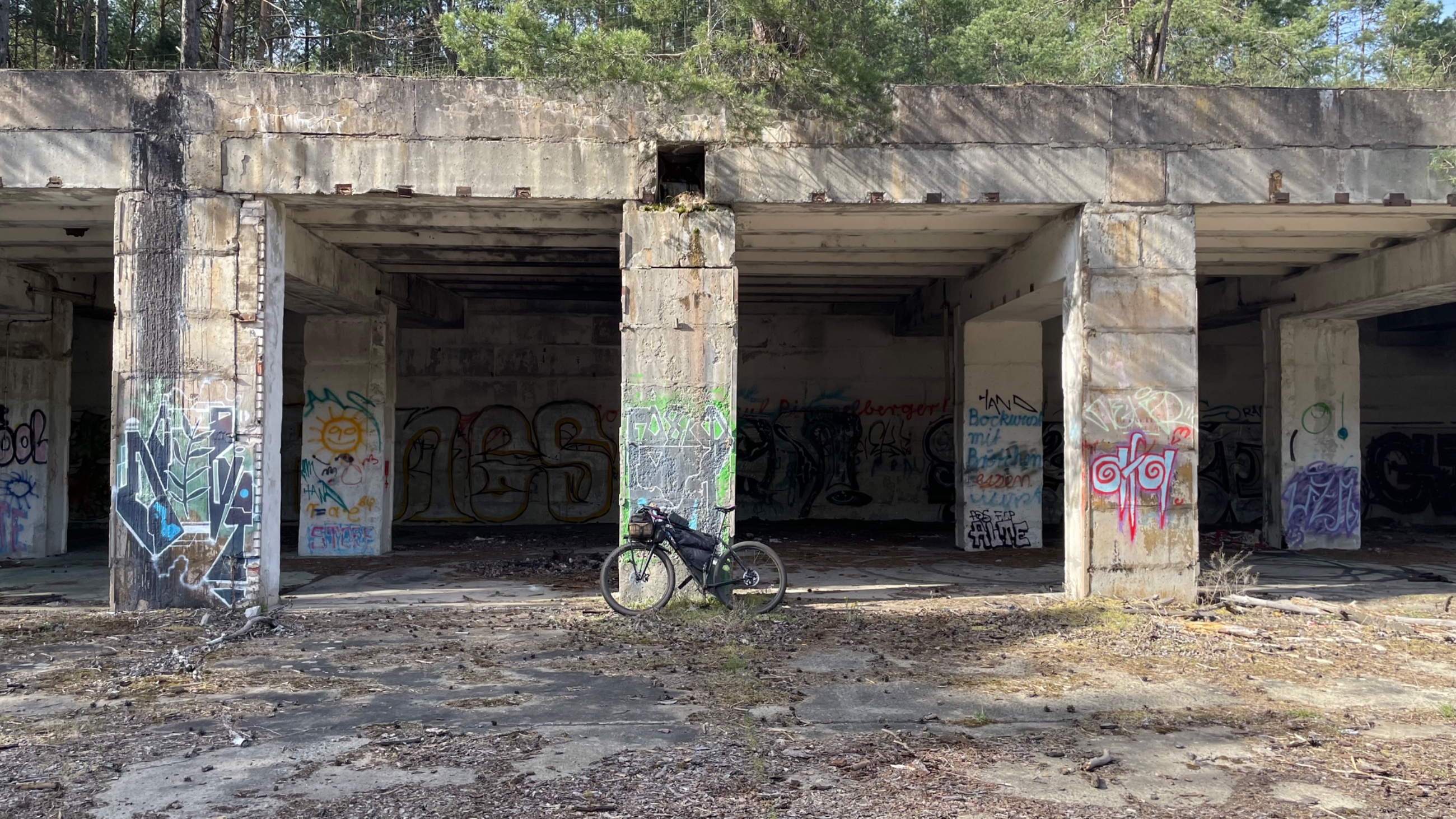 IMG_1071.jpeg