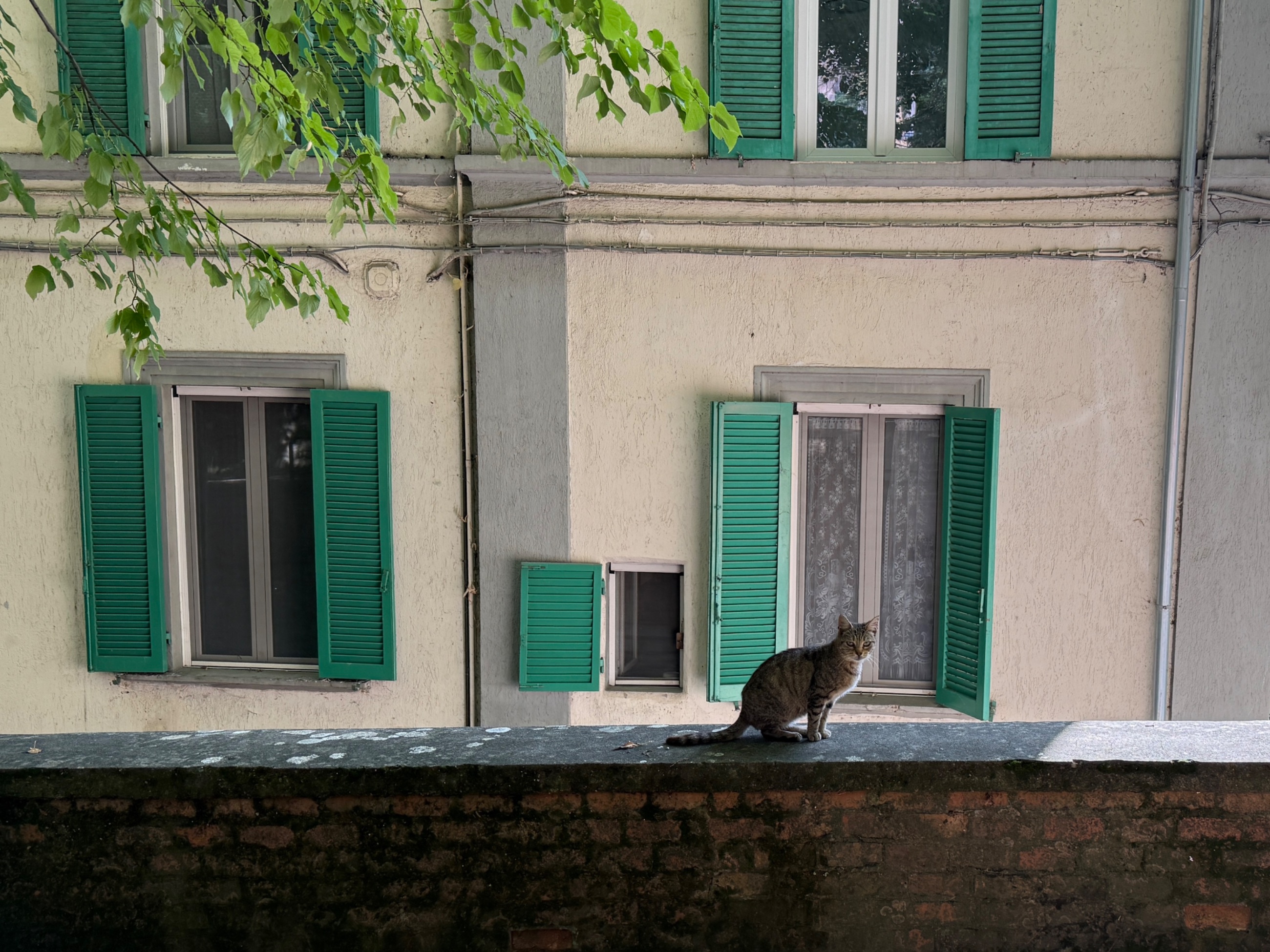 IMG_1079.jpeg