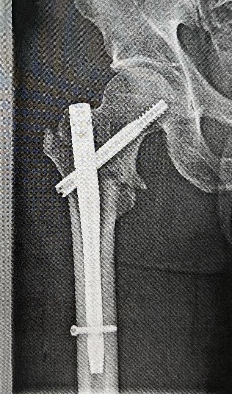 IMG_1098.jpg IMG_1098.jpg