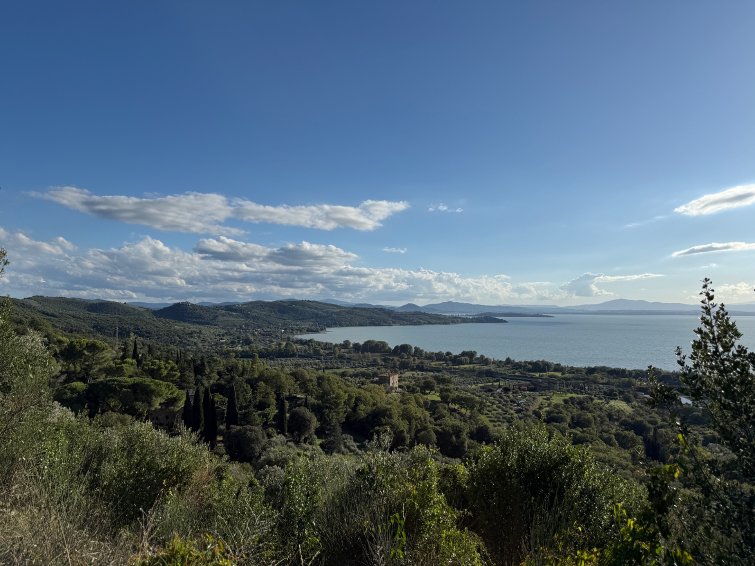 IMG_1114.jpeg