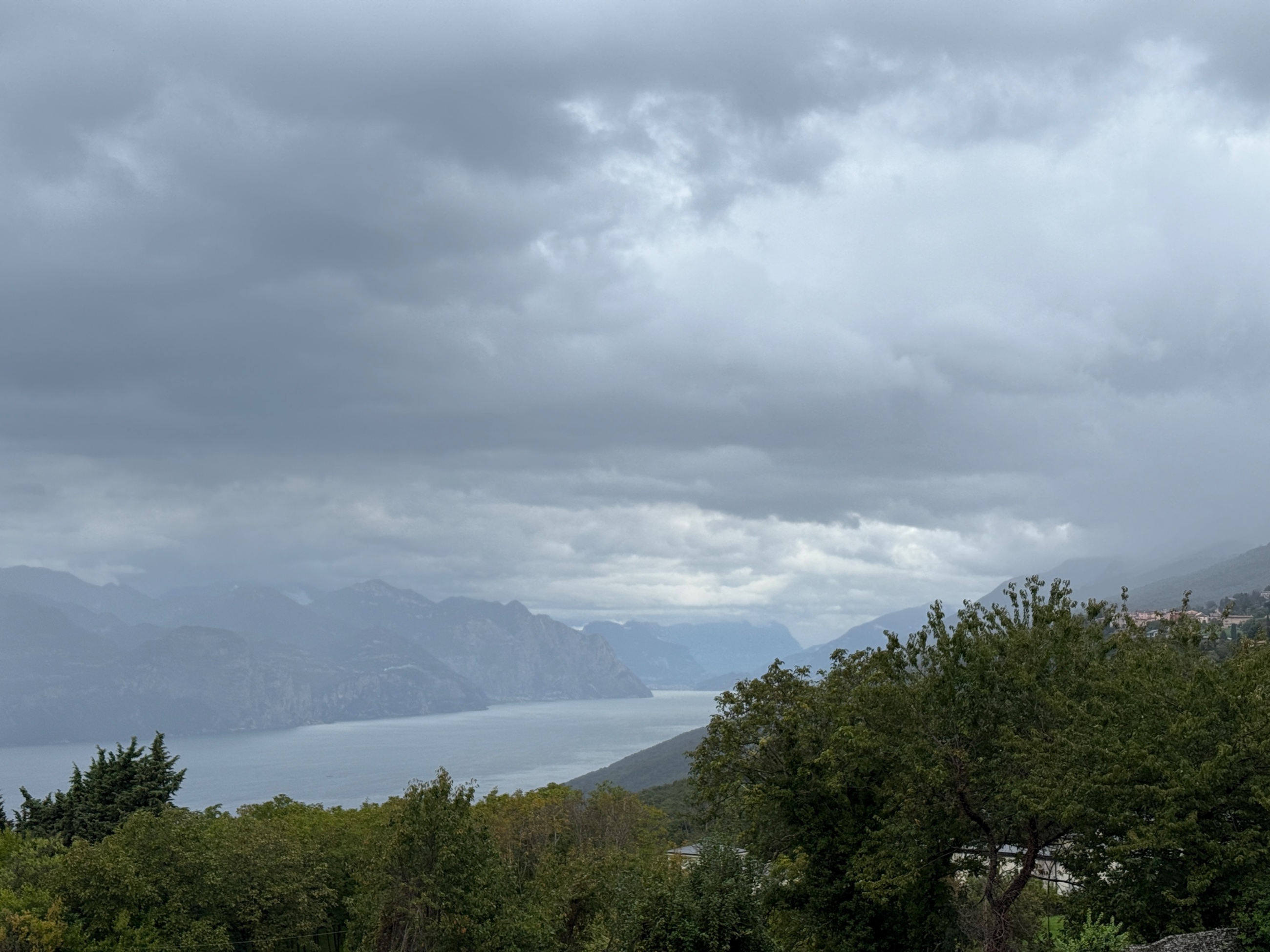 IMG_1132.jpeg