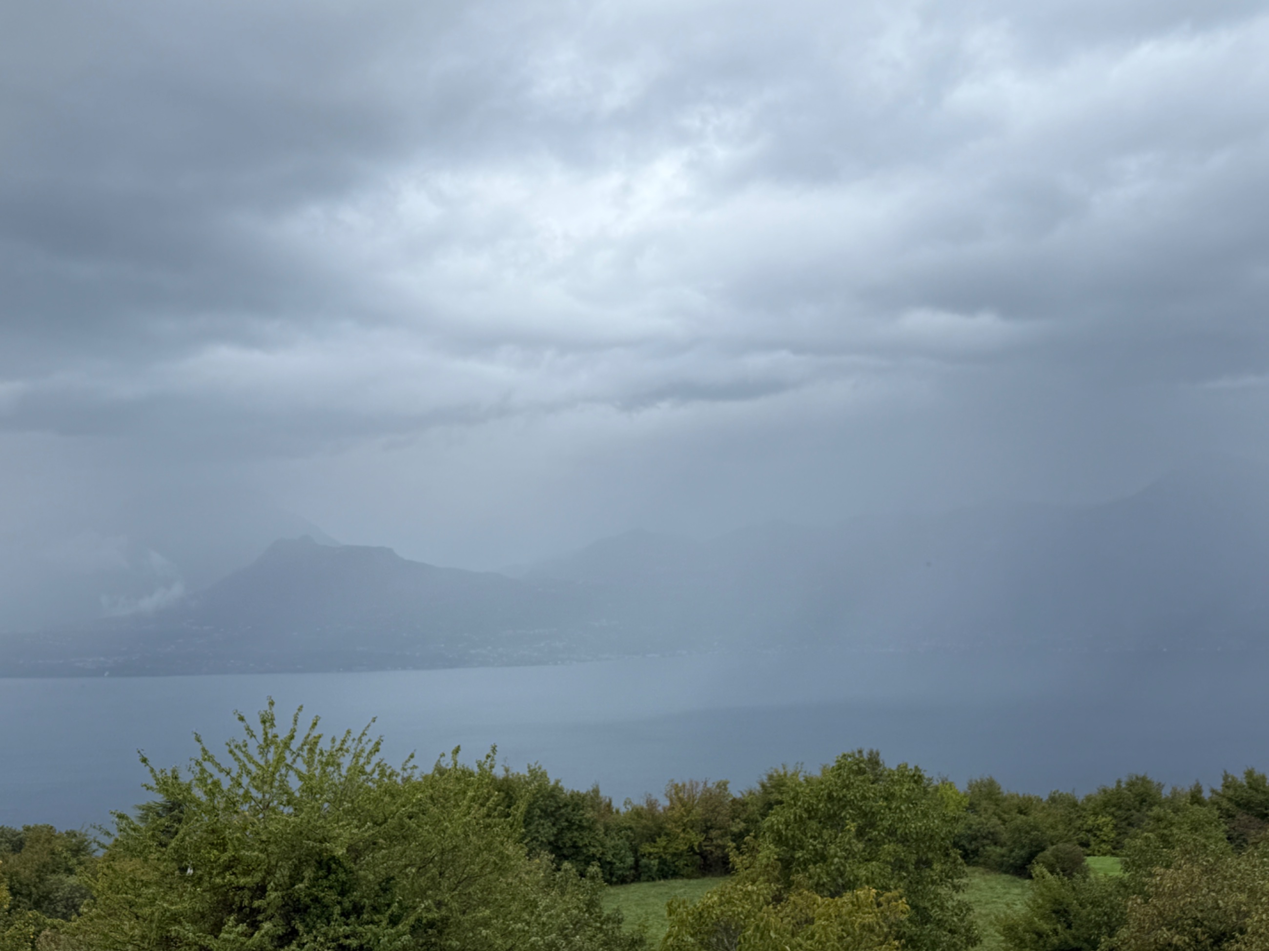 IMG_1133.jpeg
