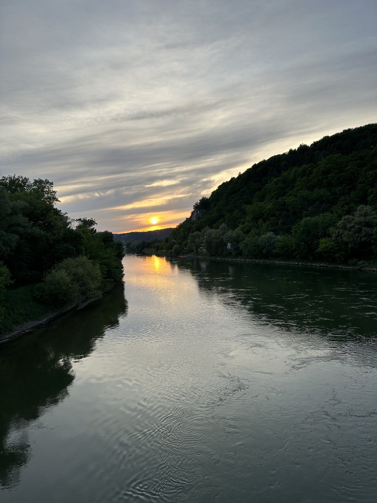 IMG_1301.jpeg