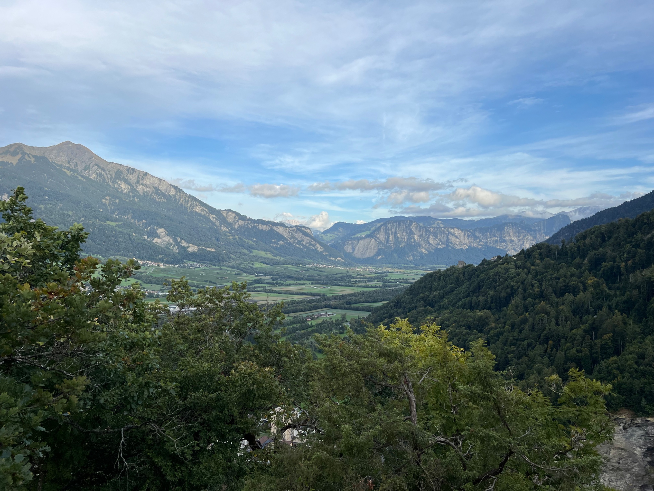 IMG_1306.jpeg