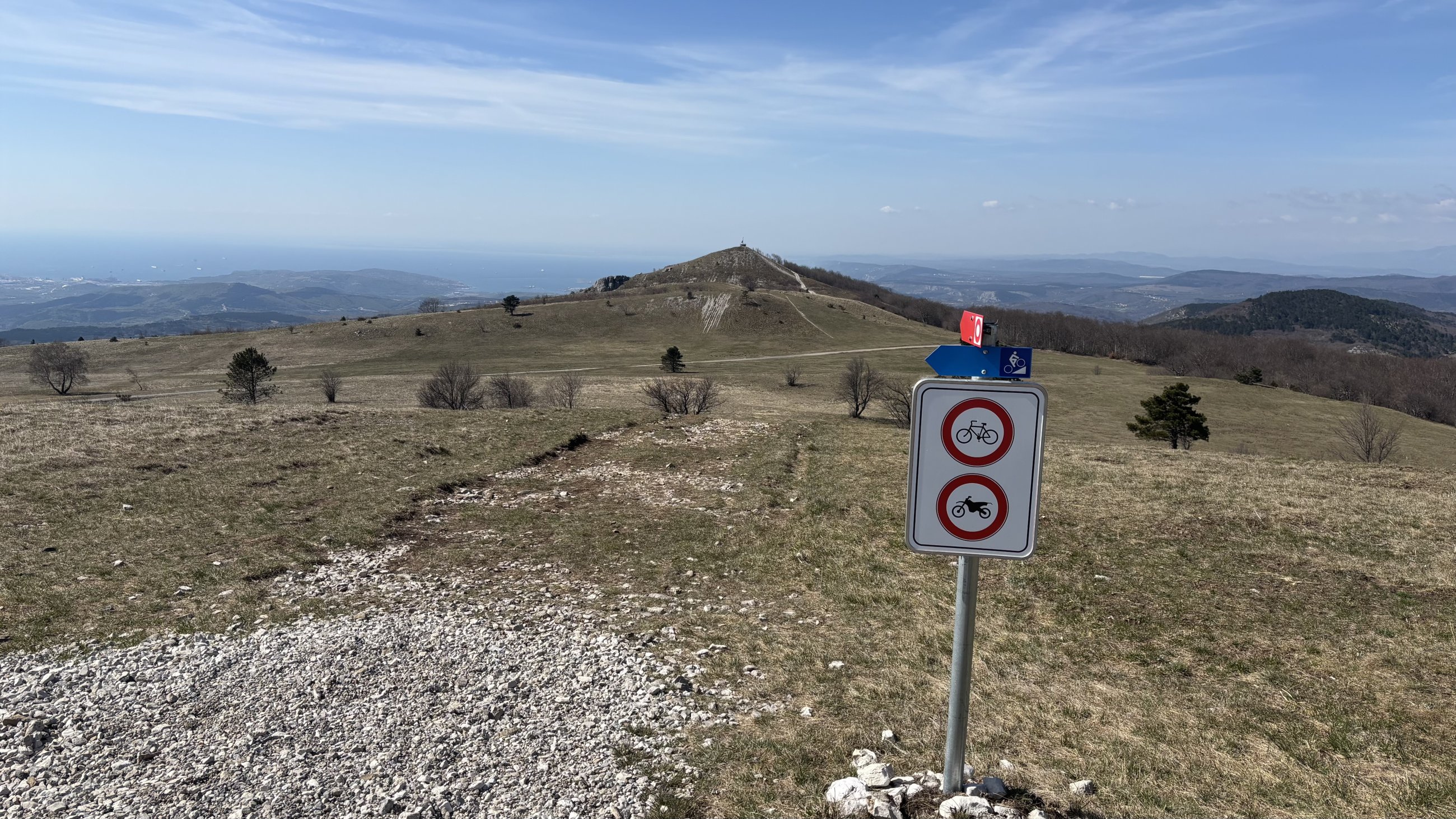 IMG_1337.jpeg