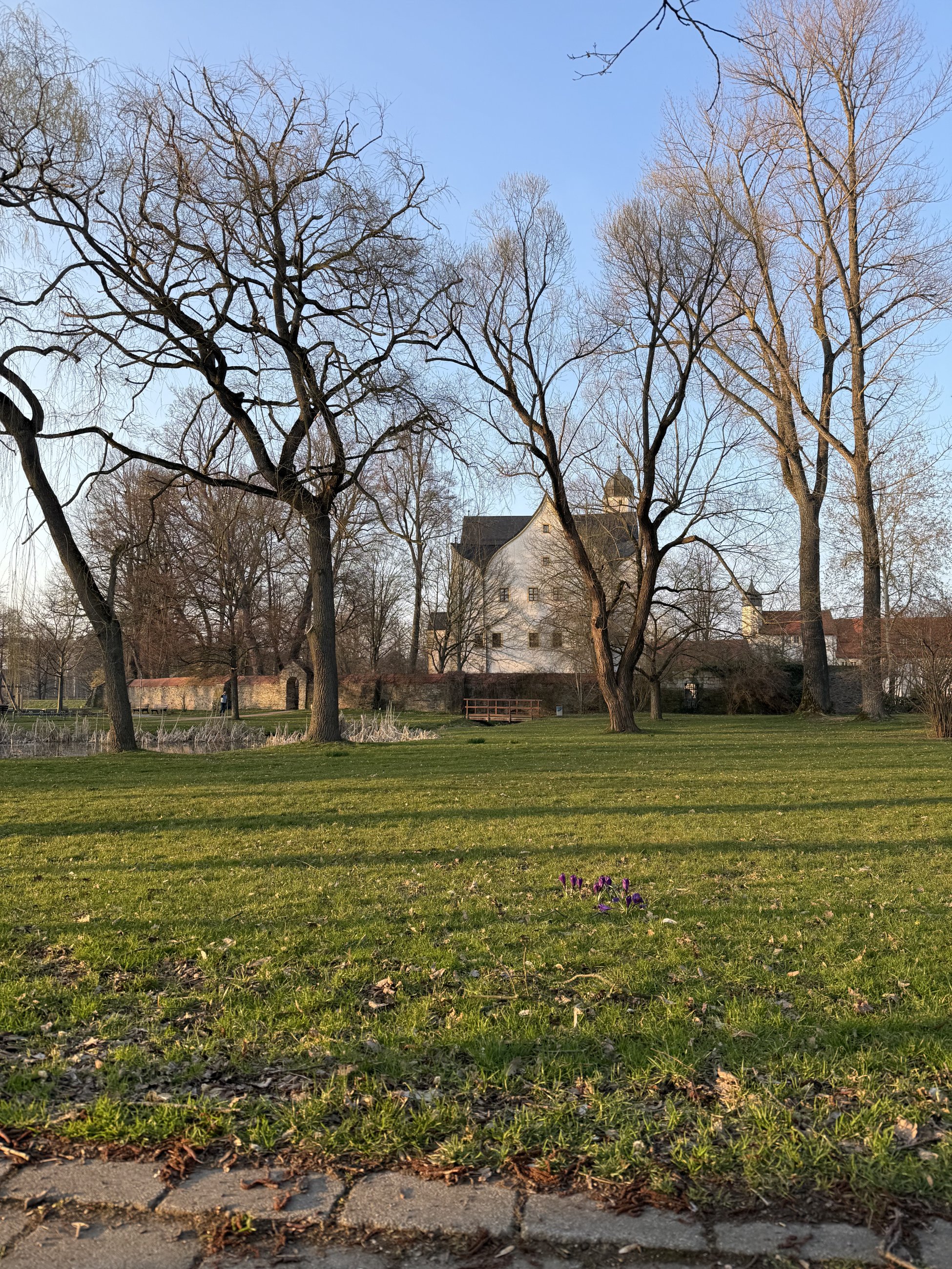 IMG_1401.jpeg