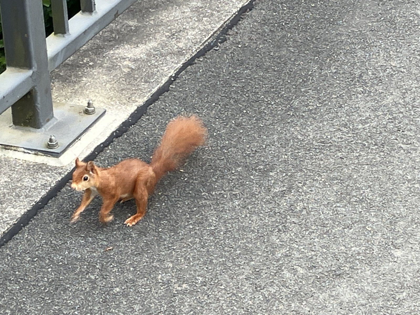 IMG_1448.jpeg