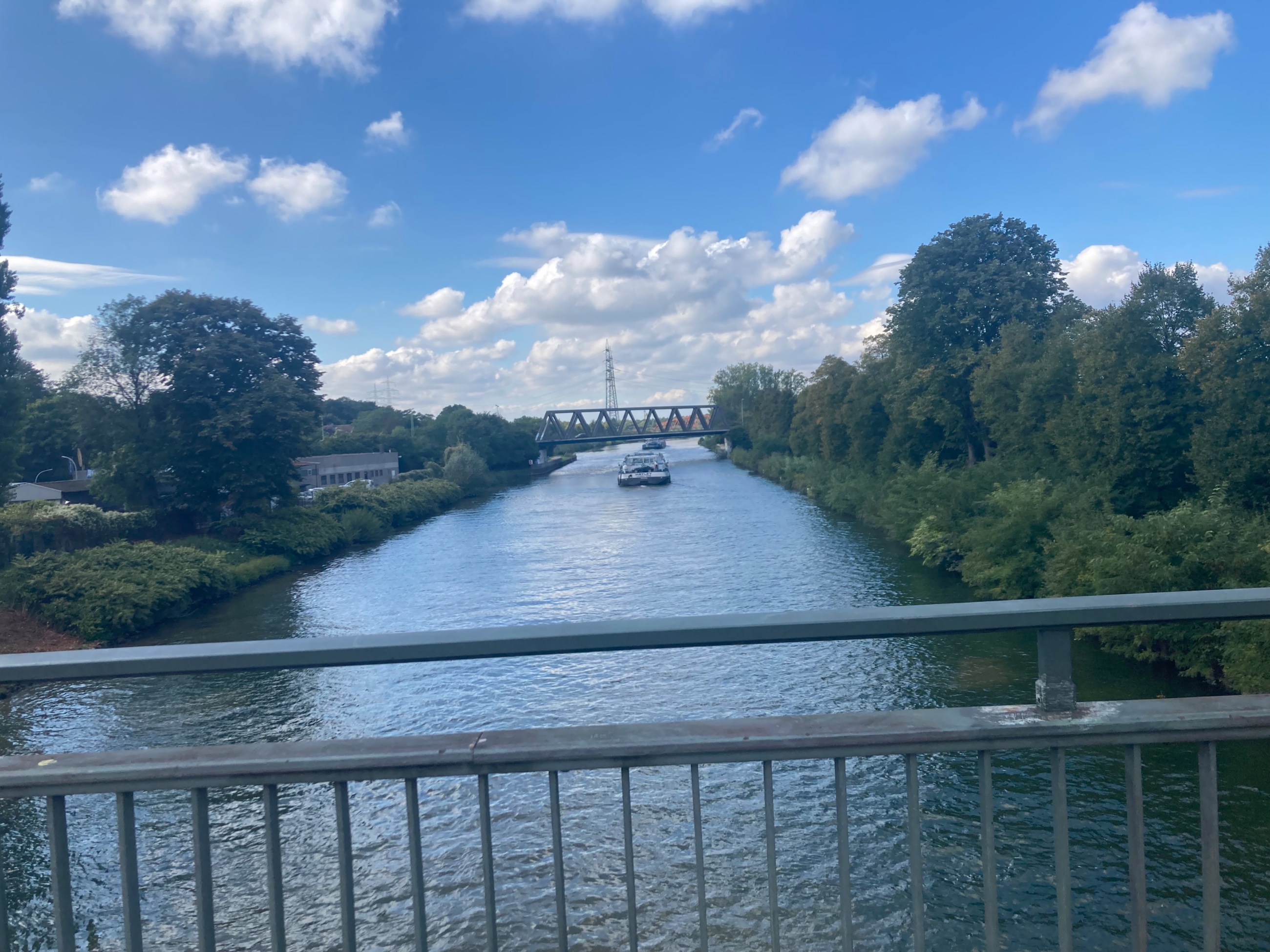 IMG_1472.jpeg