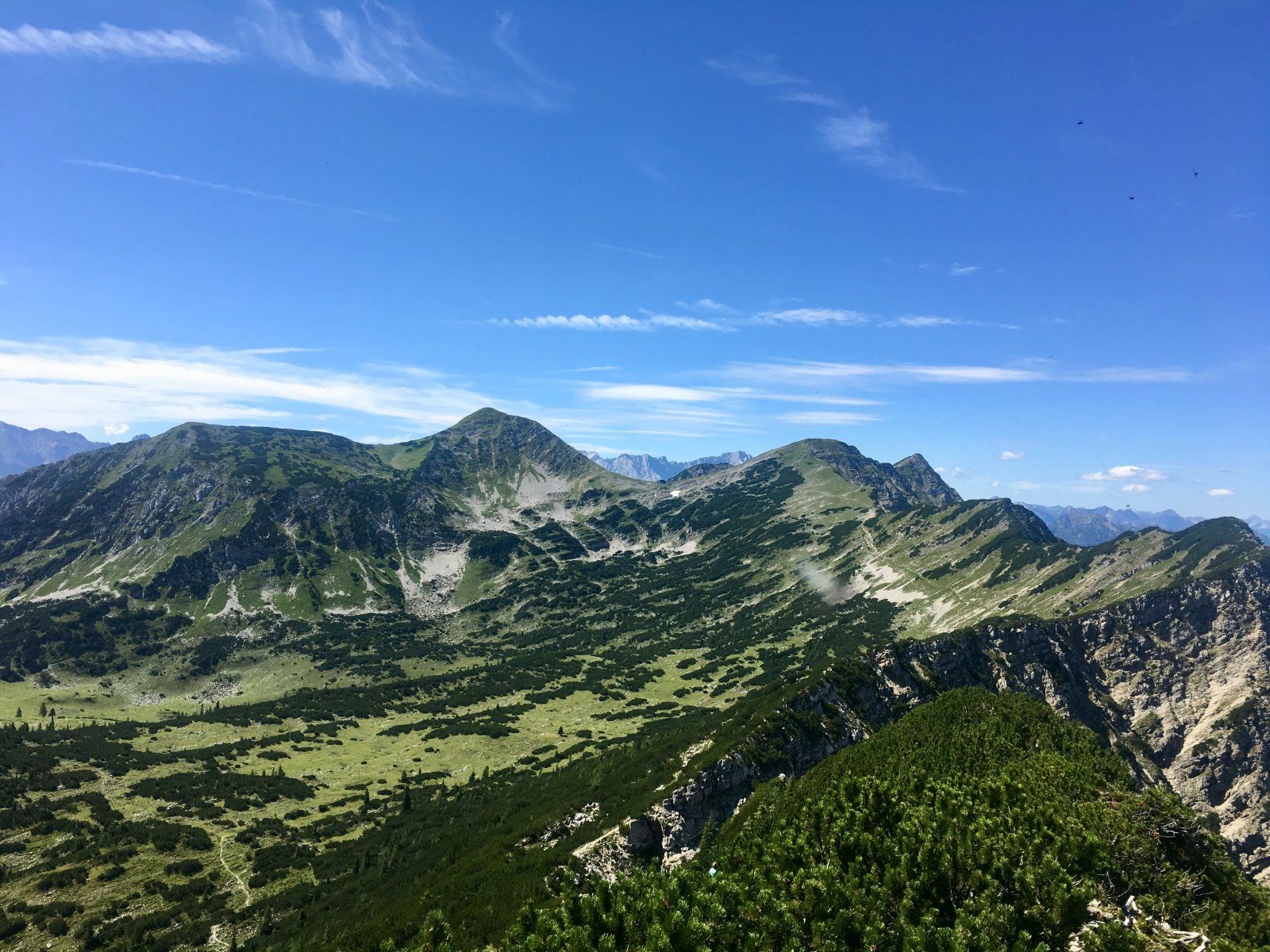 IMG_1485.jpg
