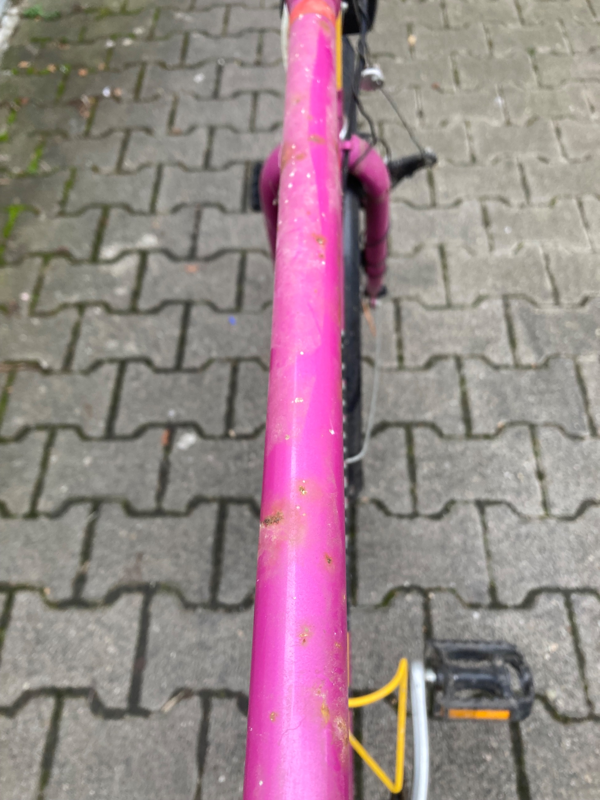 IMG_1530.jpeg