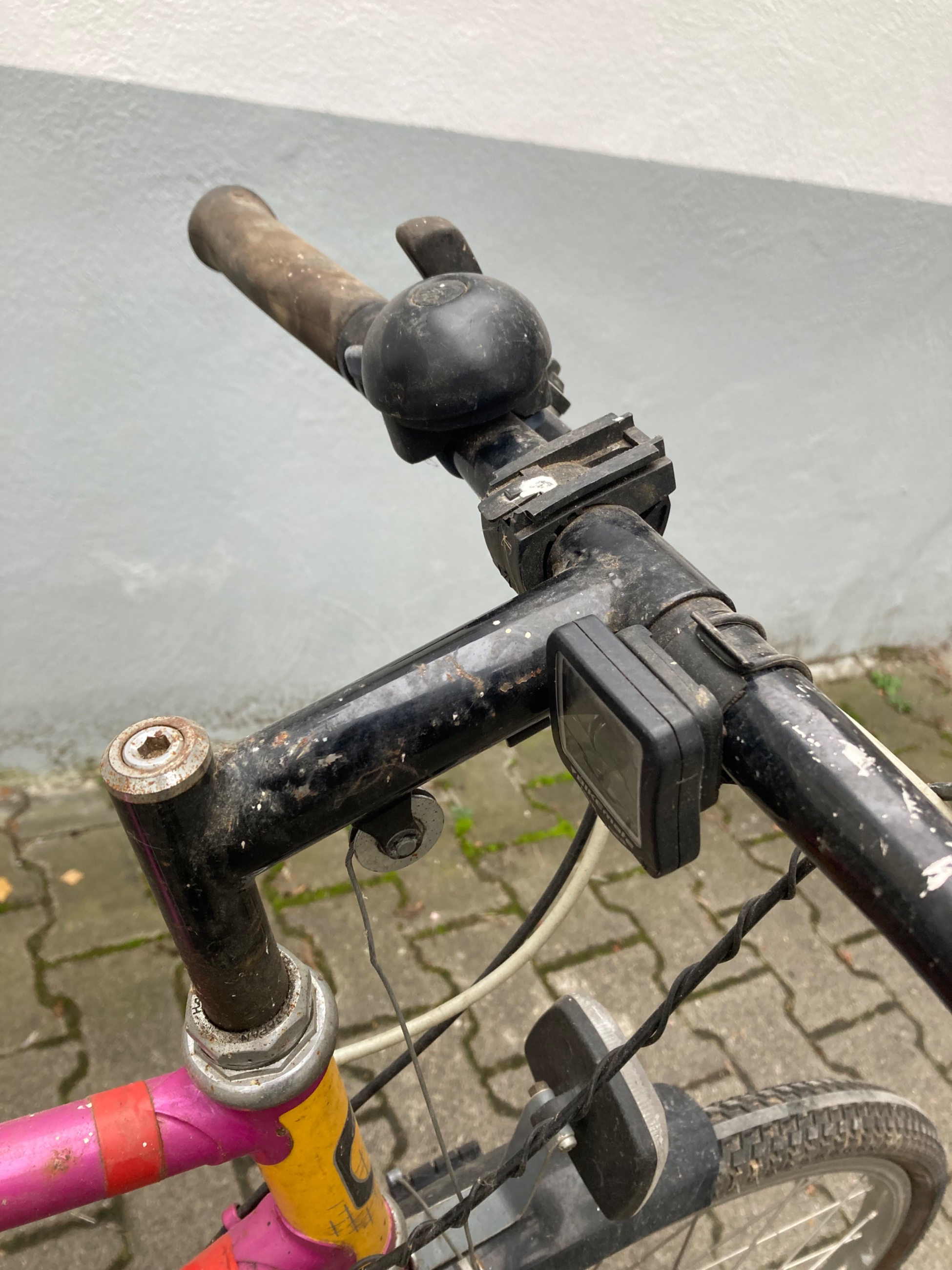 IMG_1533.jpeg