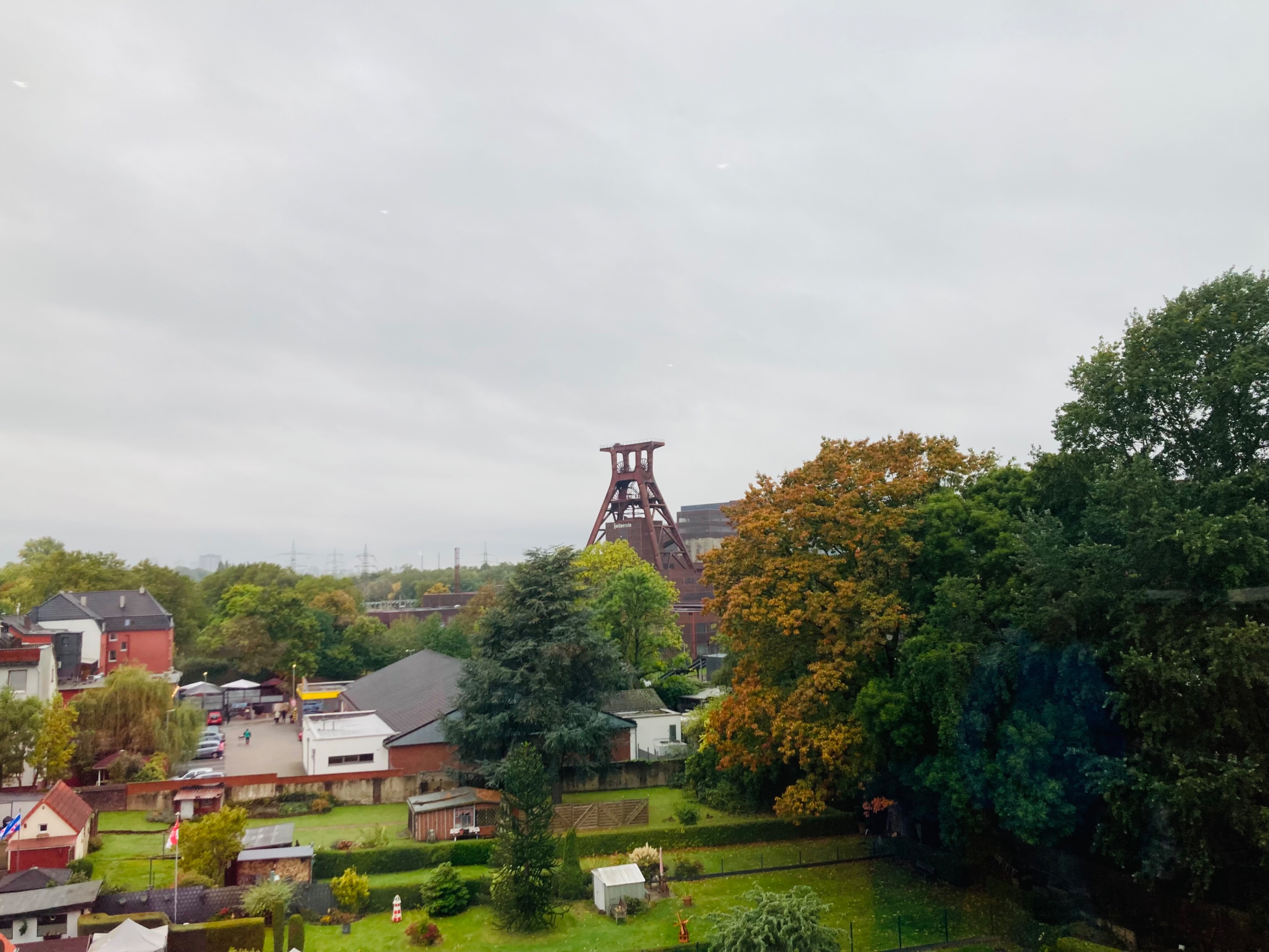 IMG_1537.jpeg