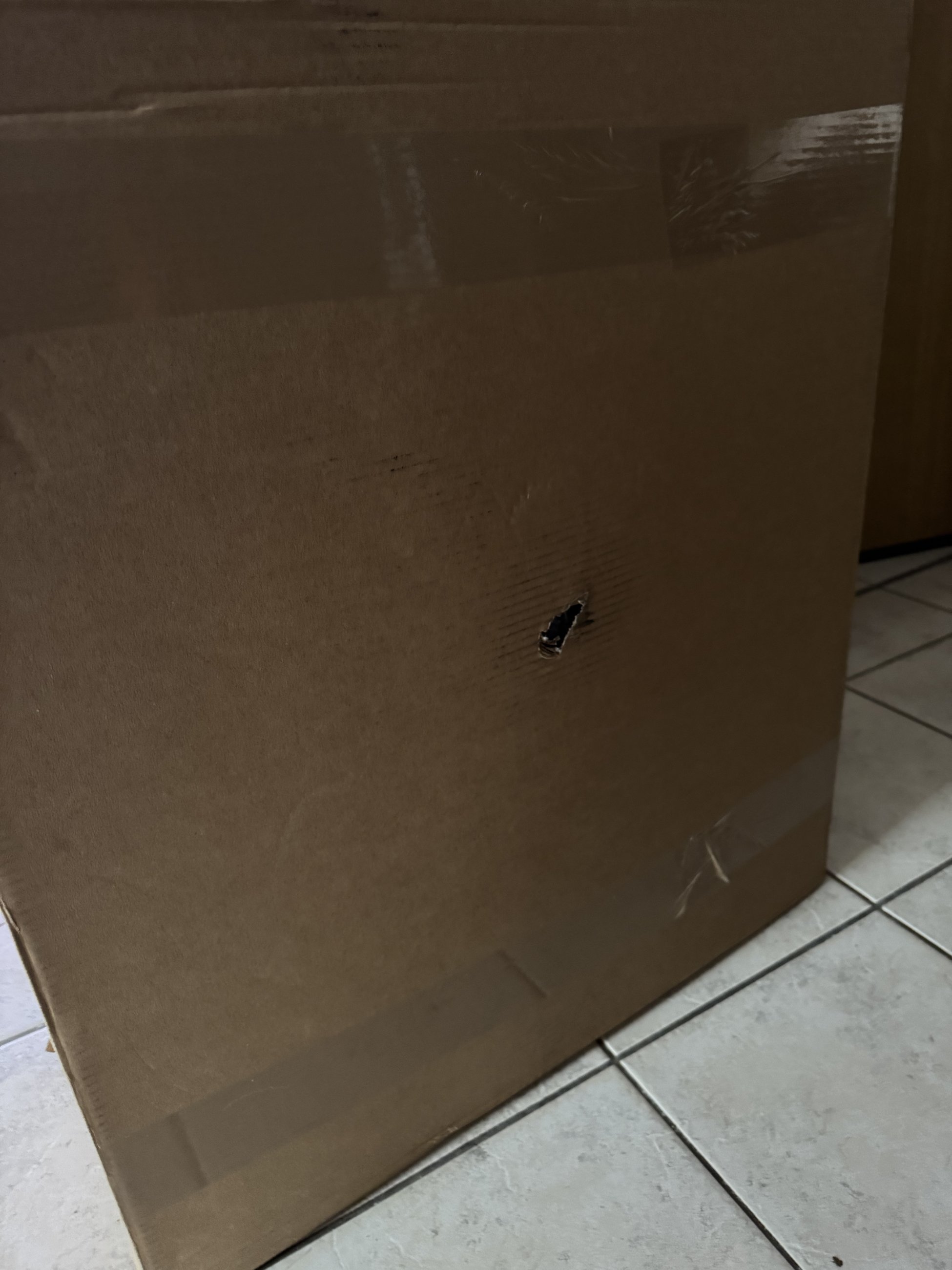 IMG_1551.jpeg