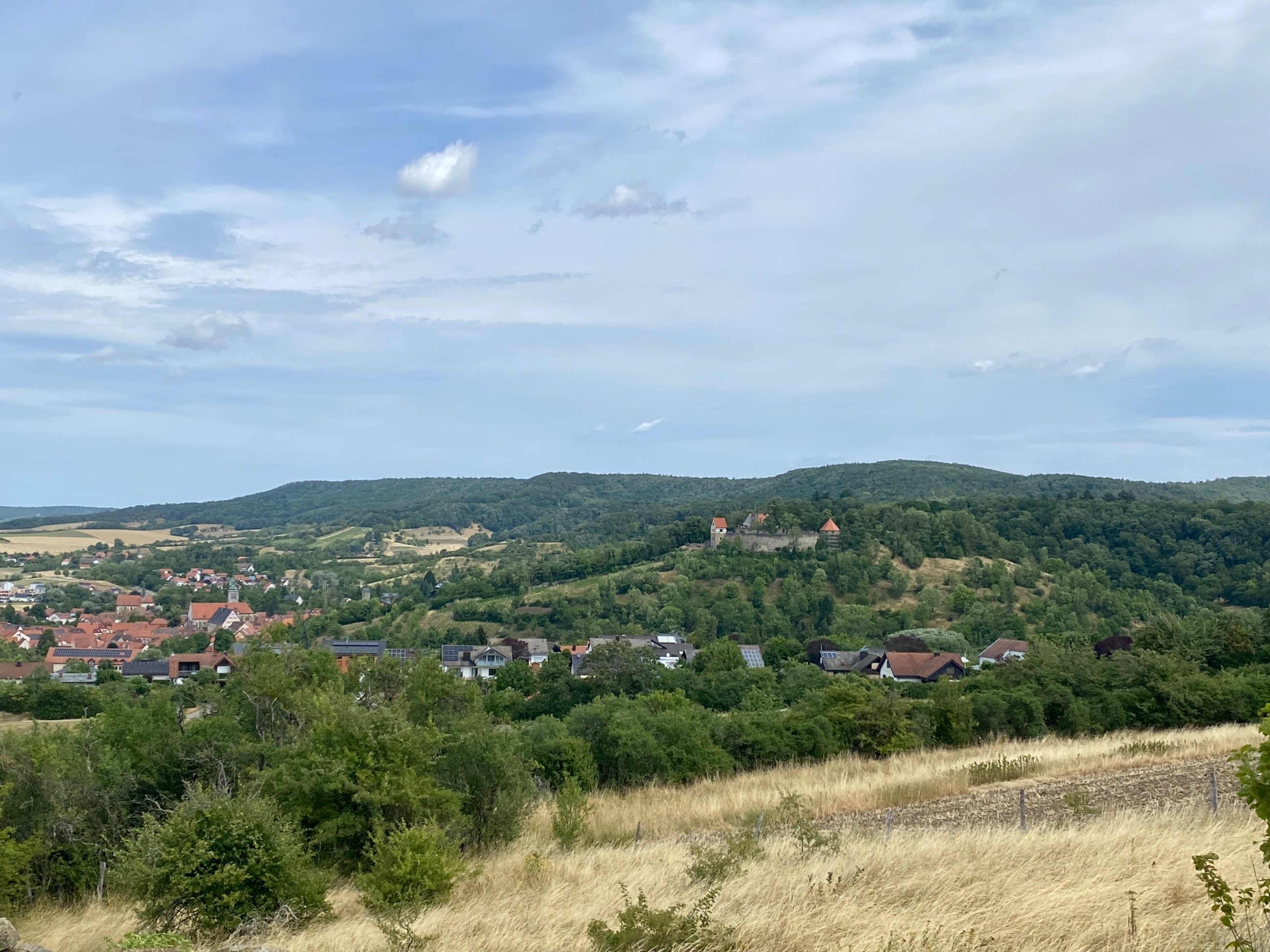IMG_1606.jpeg