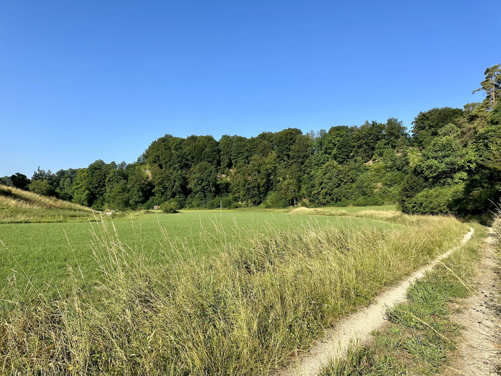IMG_1640.jpeg