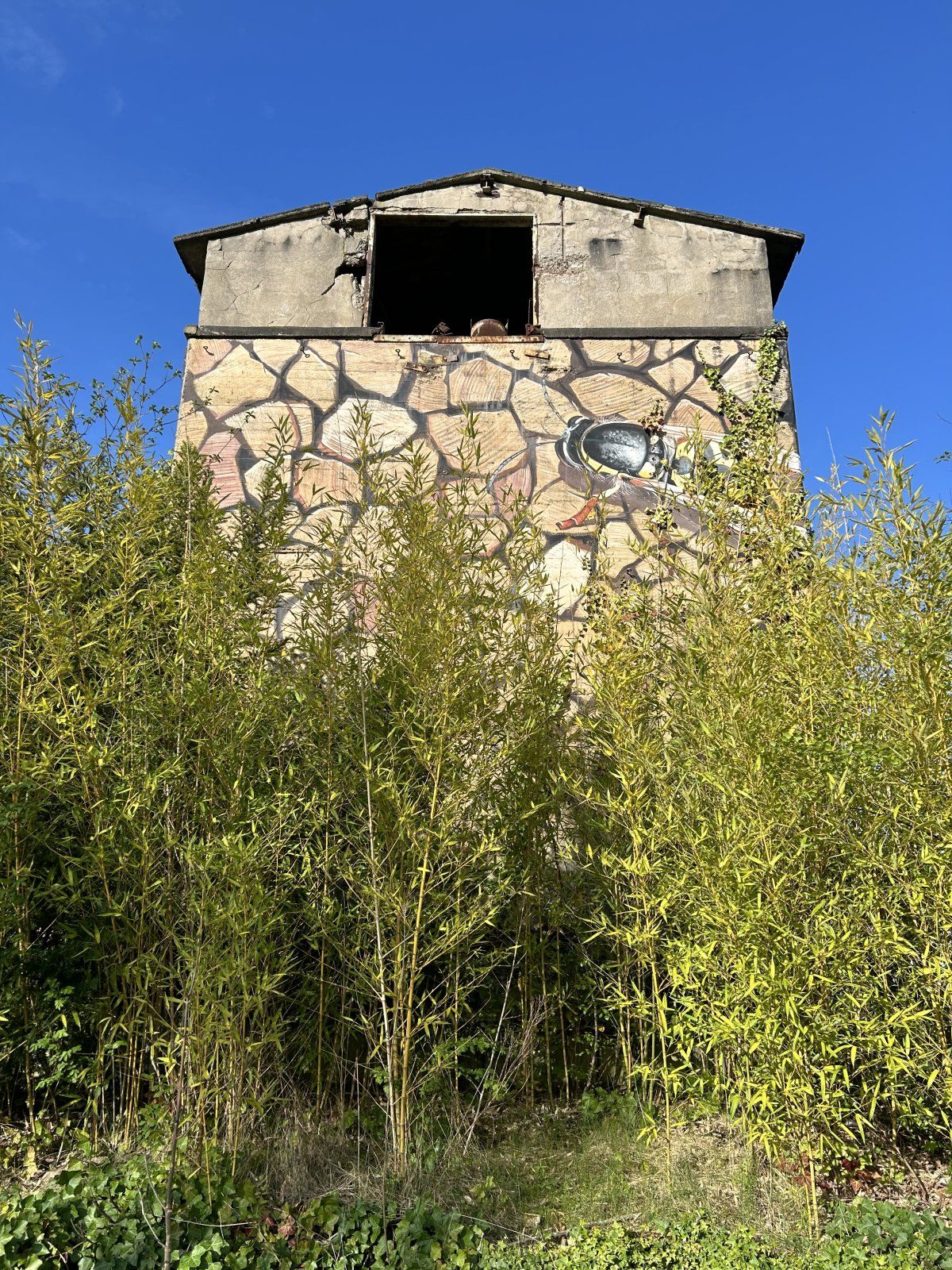IMG_1649.jpeg