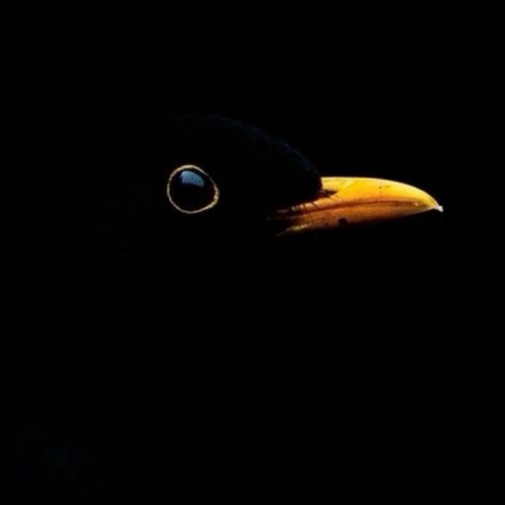 IMG_1666.jpeg