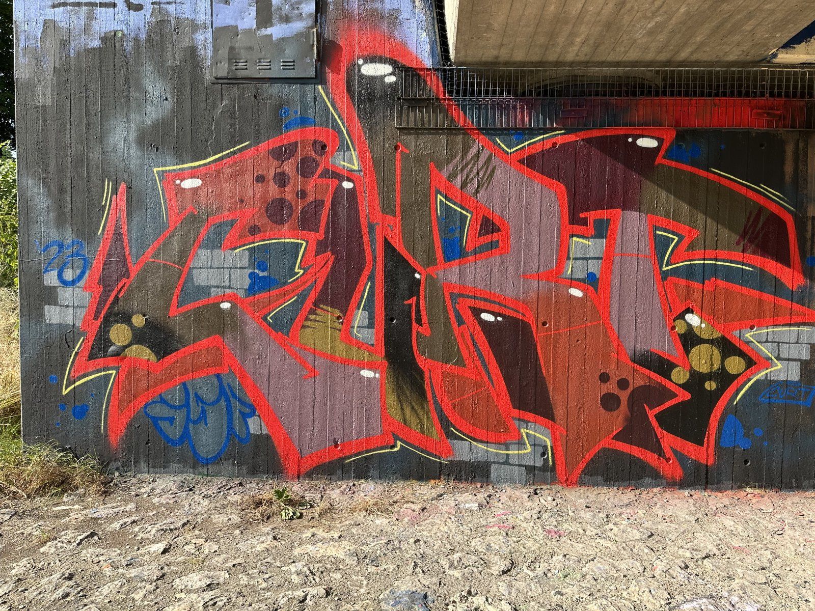 IMG_1672.jpeg