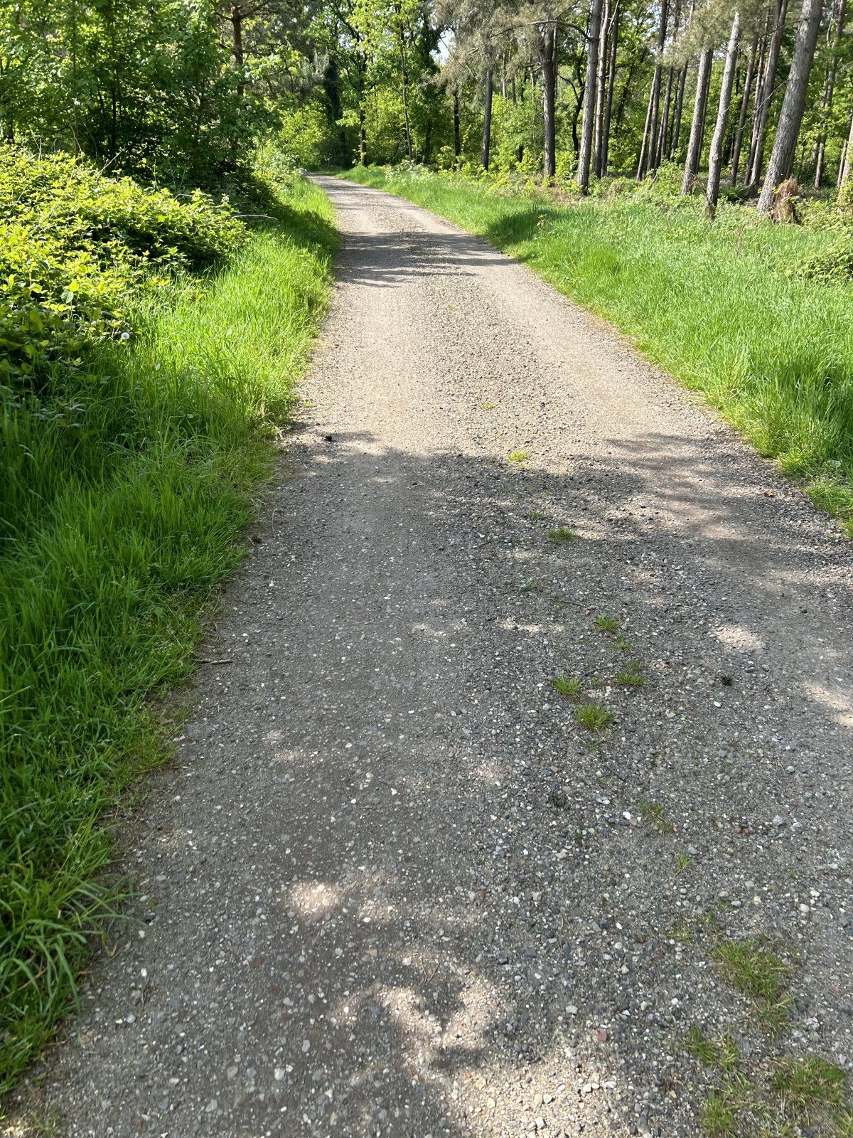 IMG_1712.jpeg