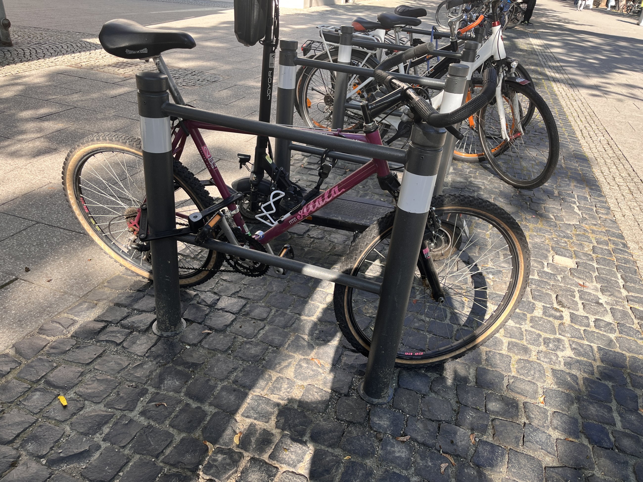 IMG_1729.jpeg