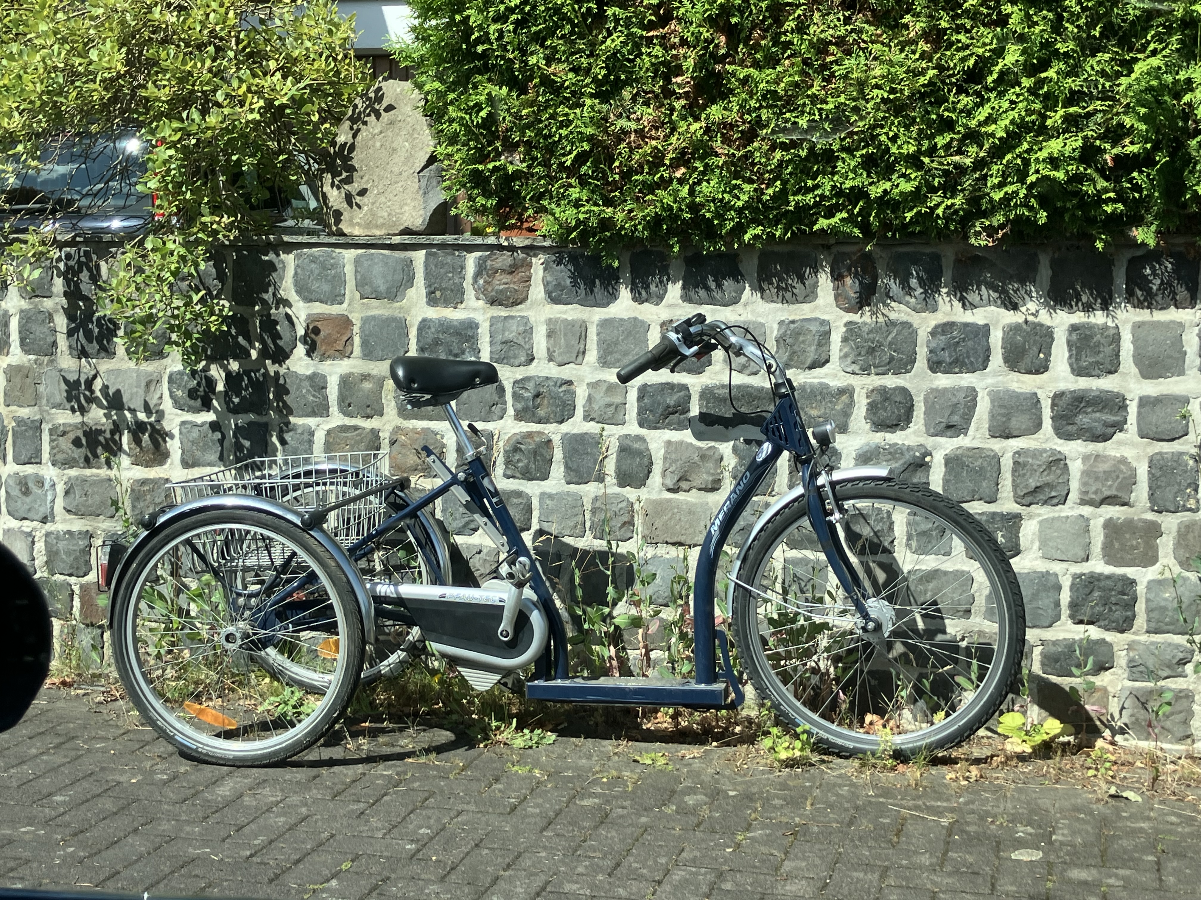 IMG_1949.jpeg