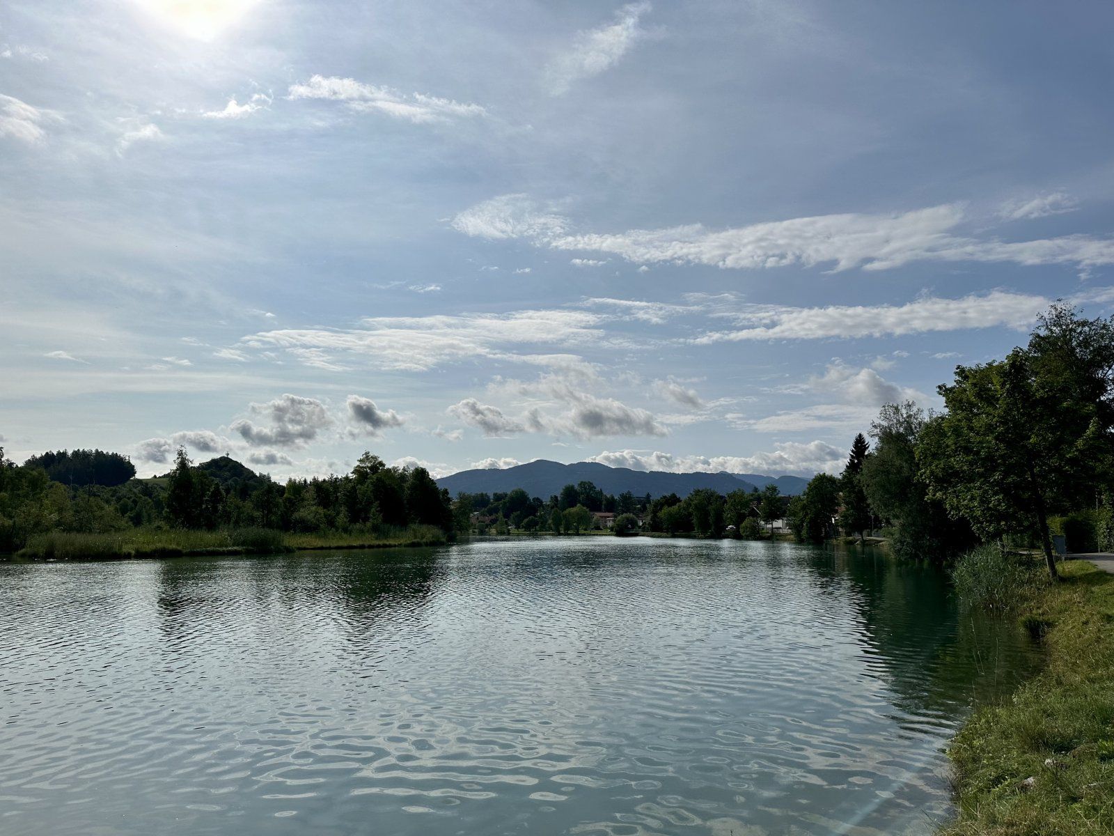 IMG_2006.jpeg