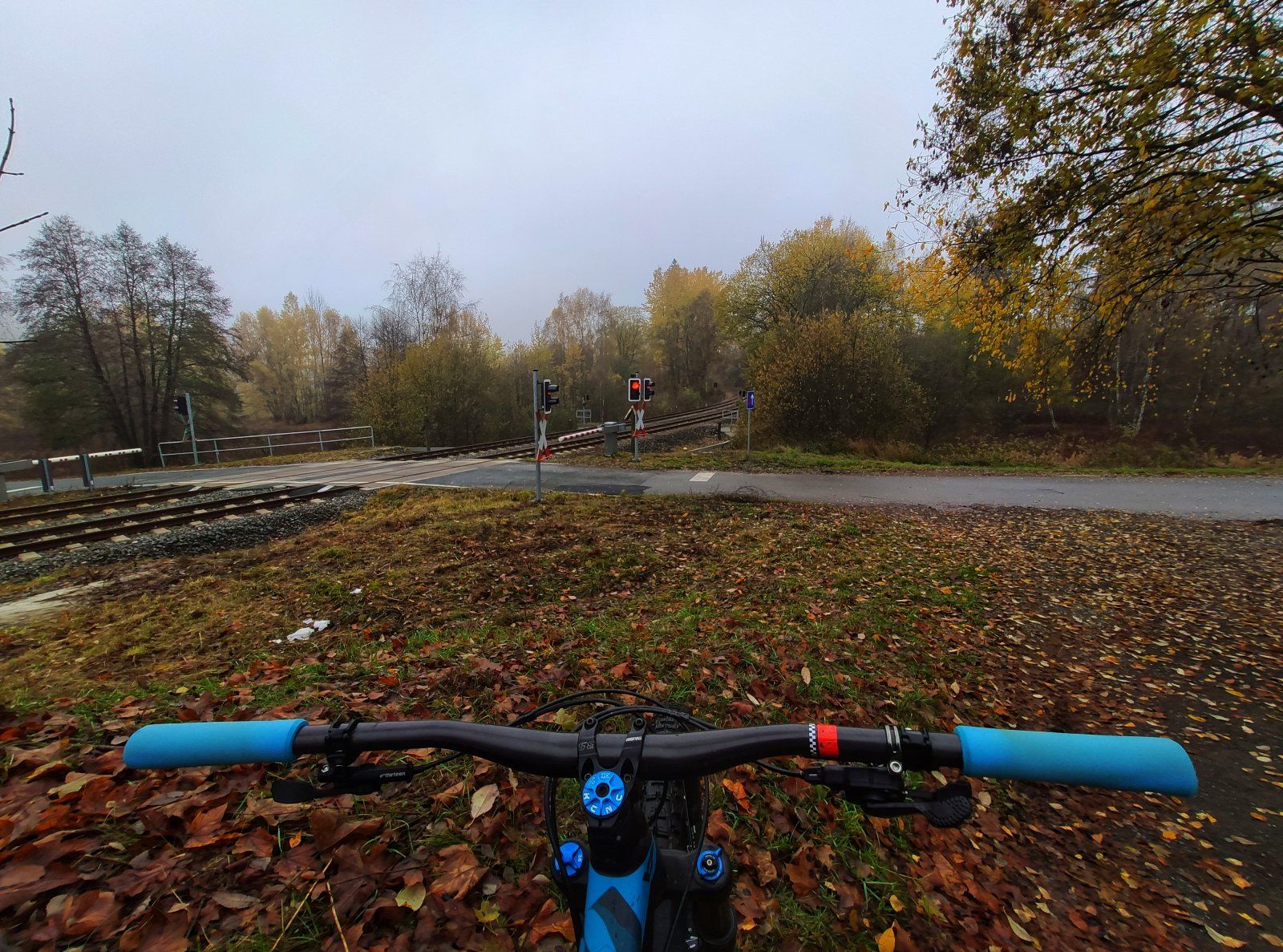 IMG_20191110_103835-01.jpeg