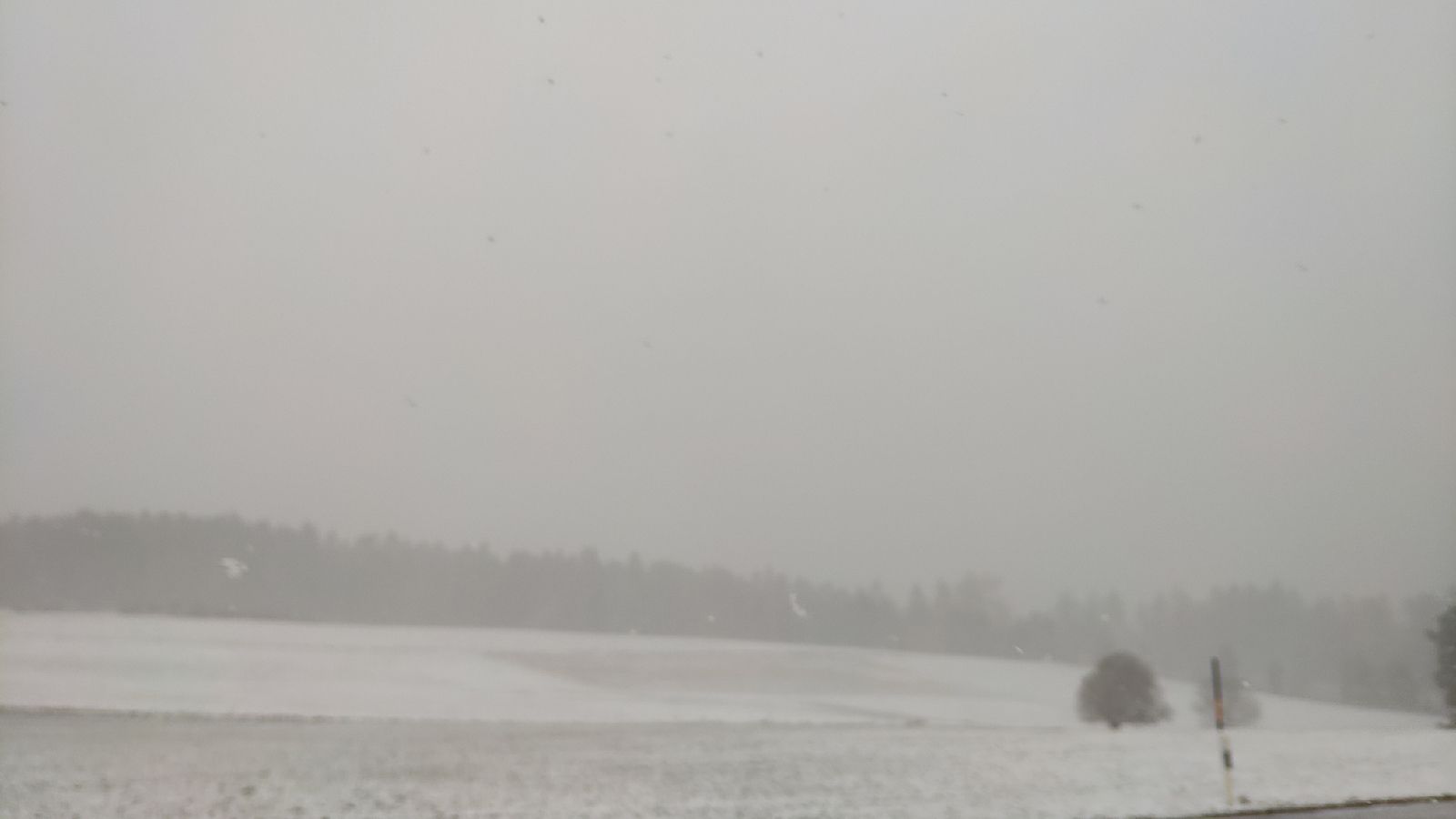 IMG_20200226_100326_resize_59.jpg