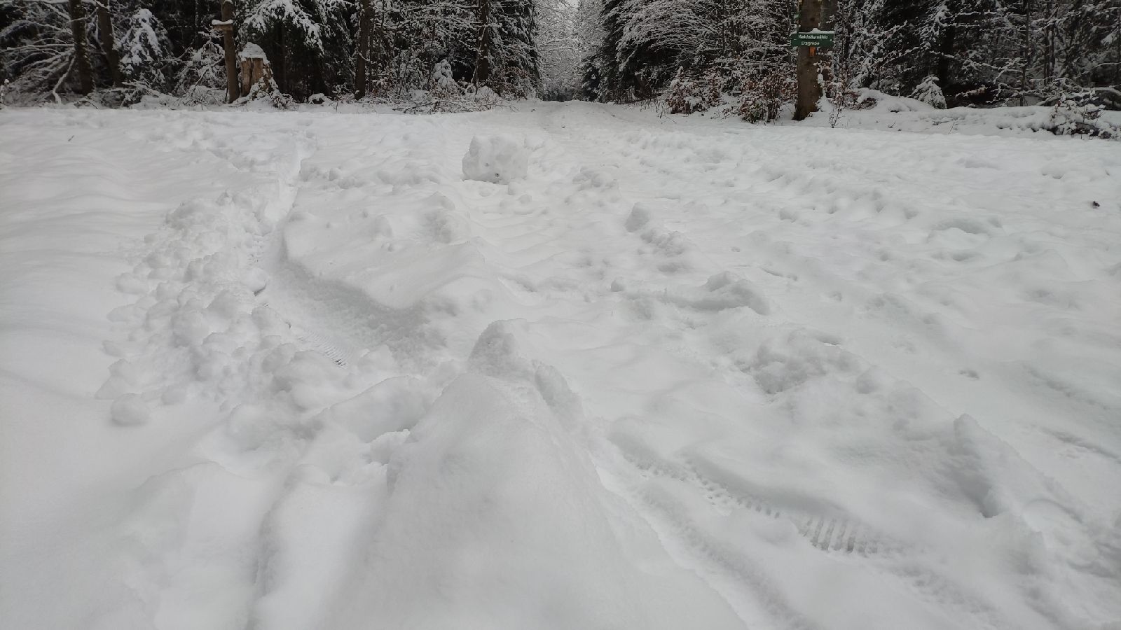 IMG_20210104_091802_resize_2.jpg