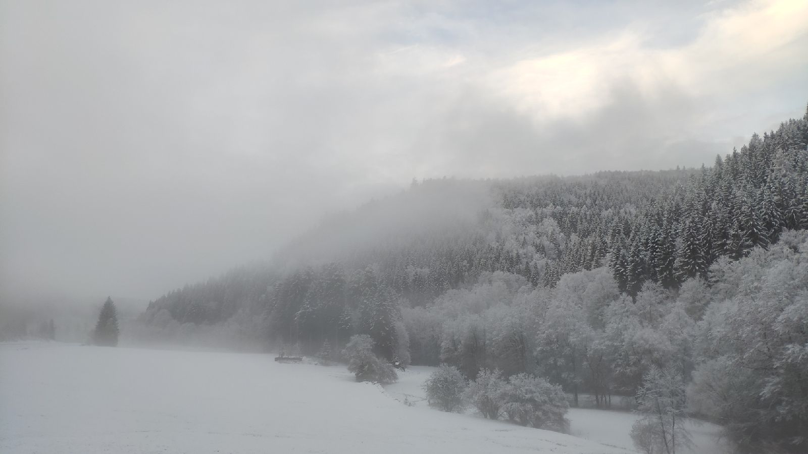 IMG_20210123_083539_resize_19.jpg