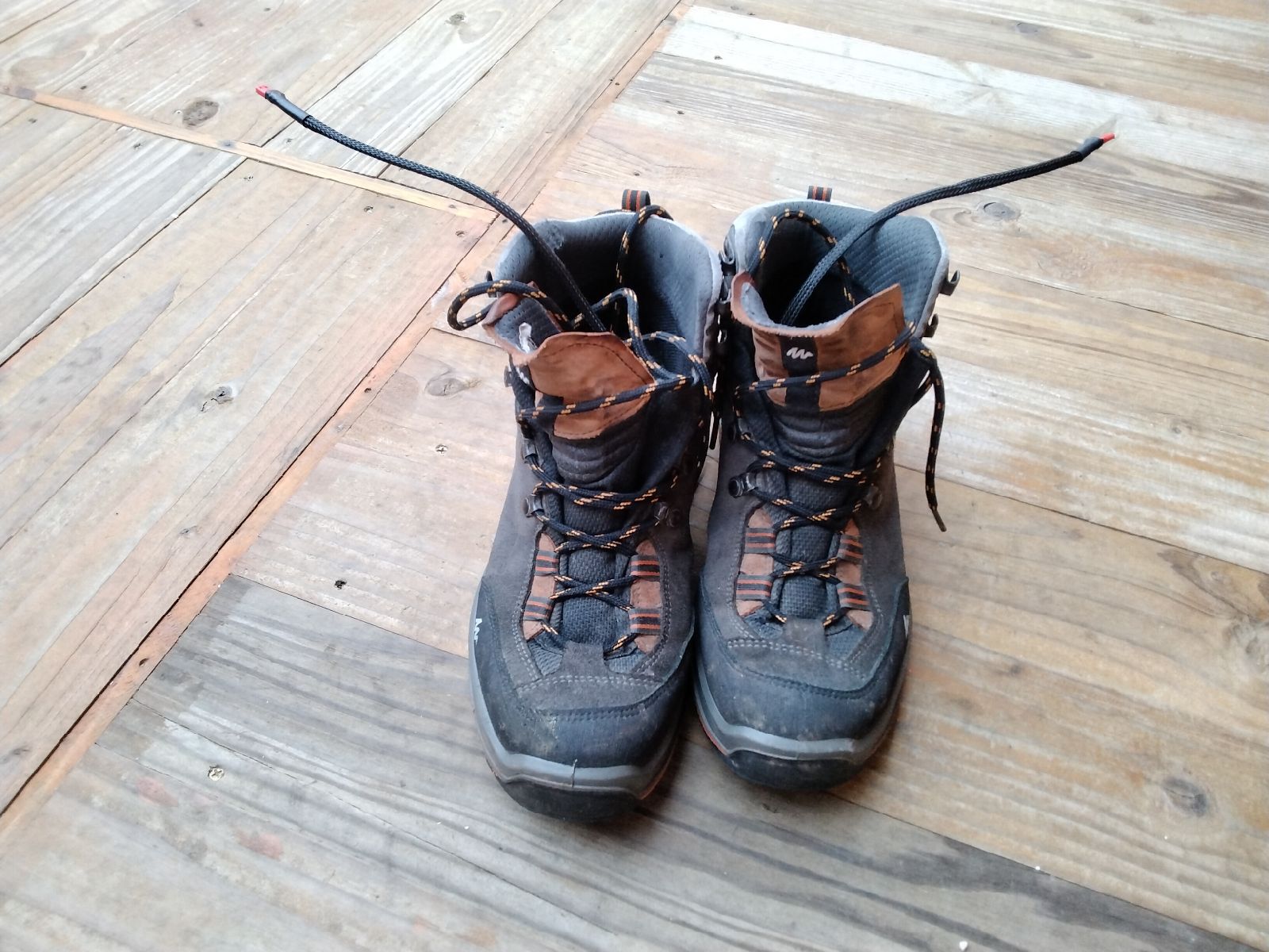 IMG_20210130_092641_resize_82.jpg