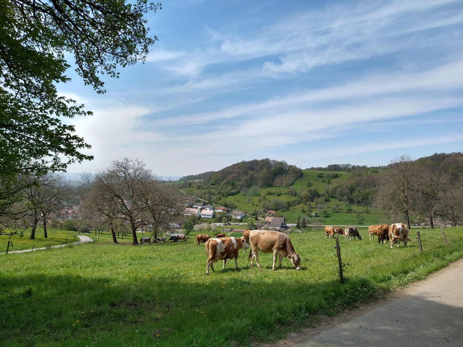 IMG_20210426_141104801_HDR.jpg