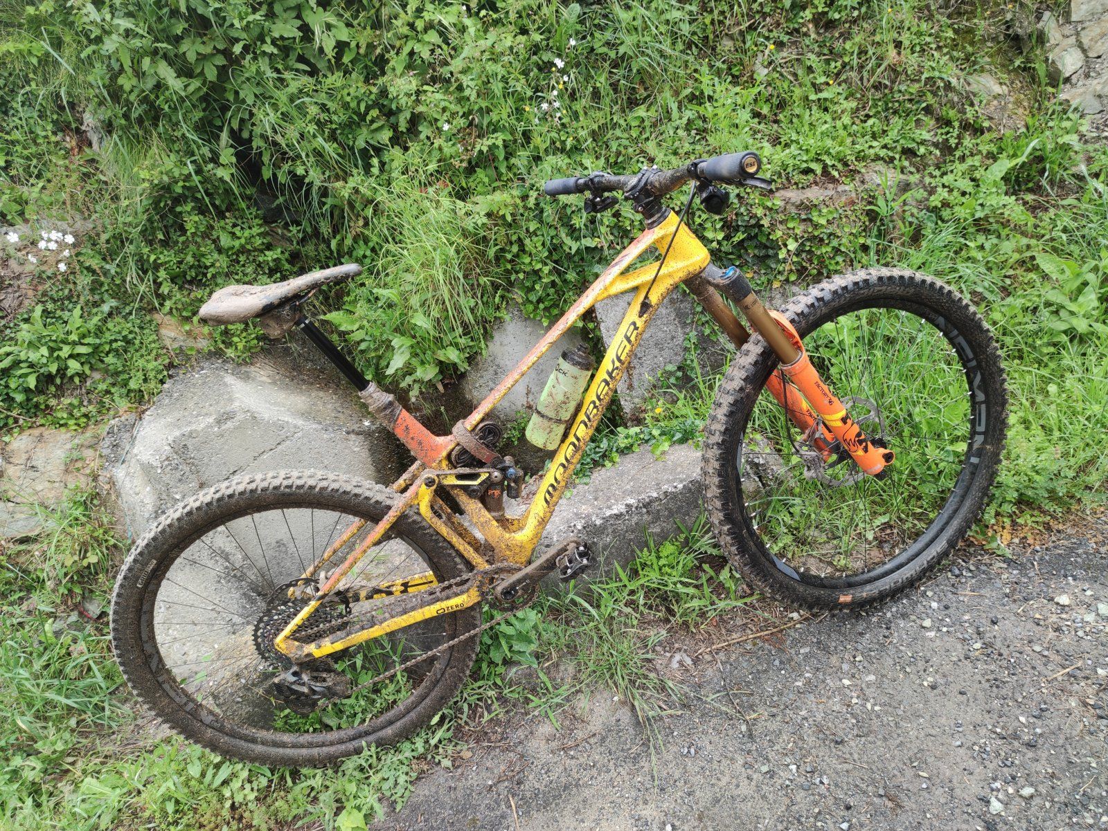 IMG_20210522_104908_Original.jpeg