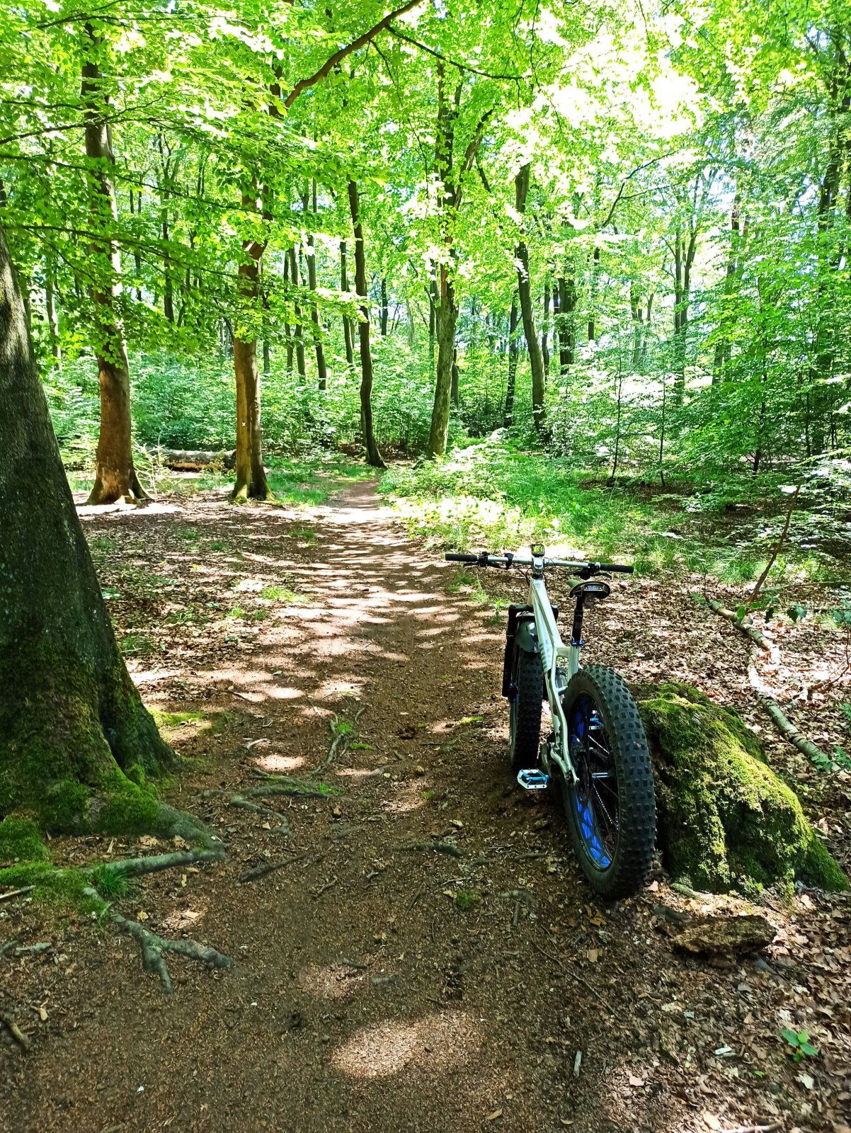 IMG_20210613_141641.jpg