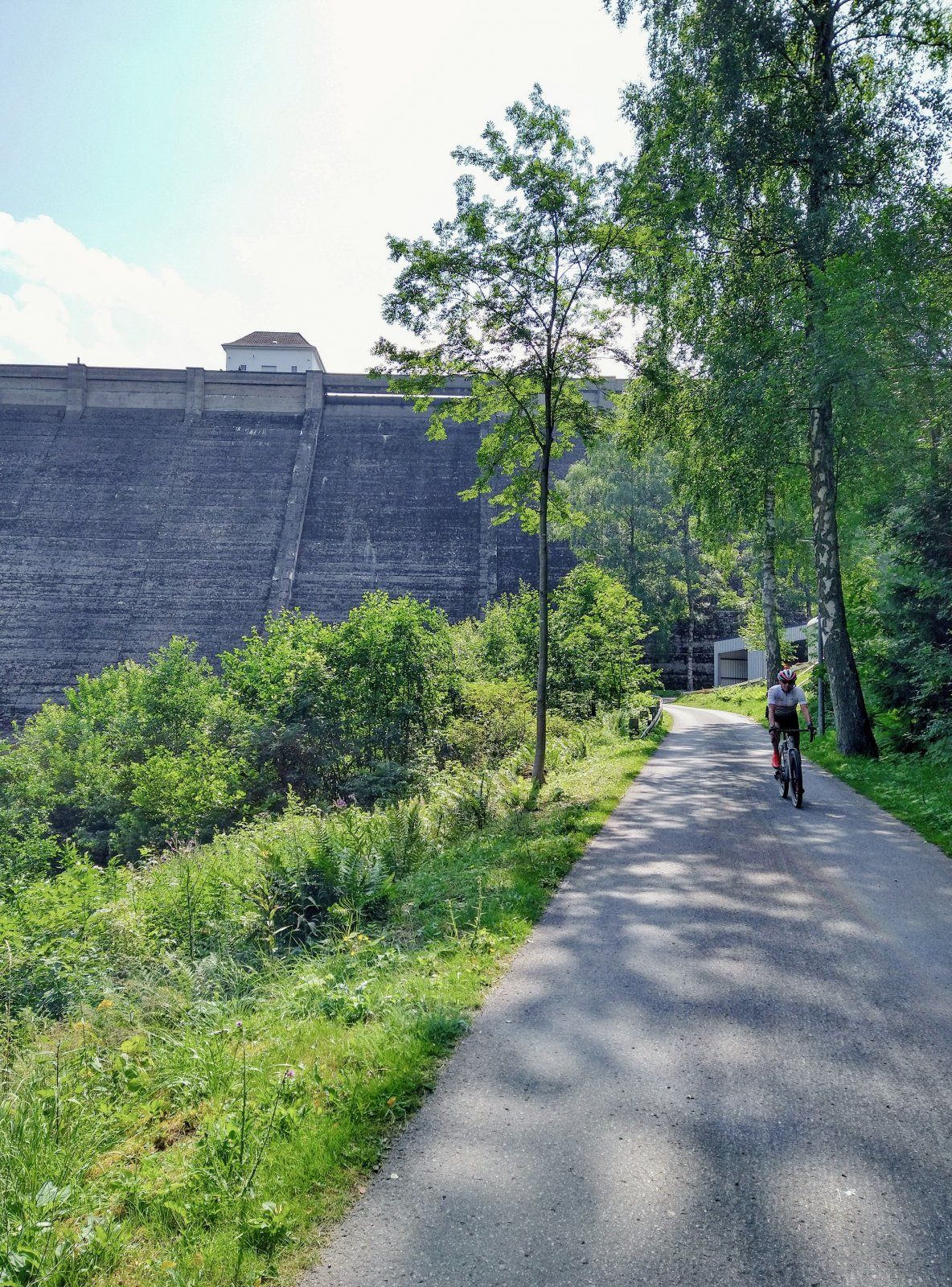 IMG_20210724_114305274_HDR~2_polarr.jpg