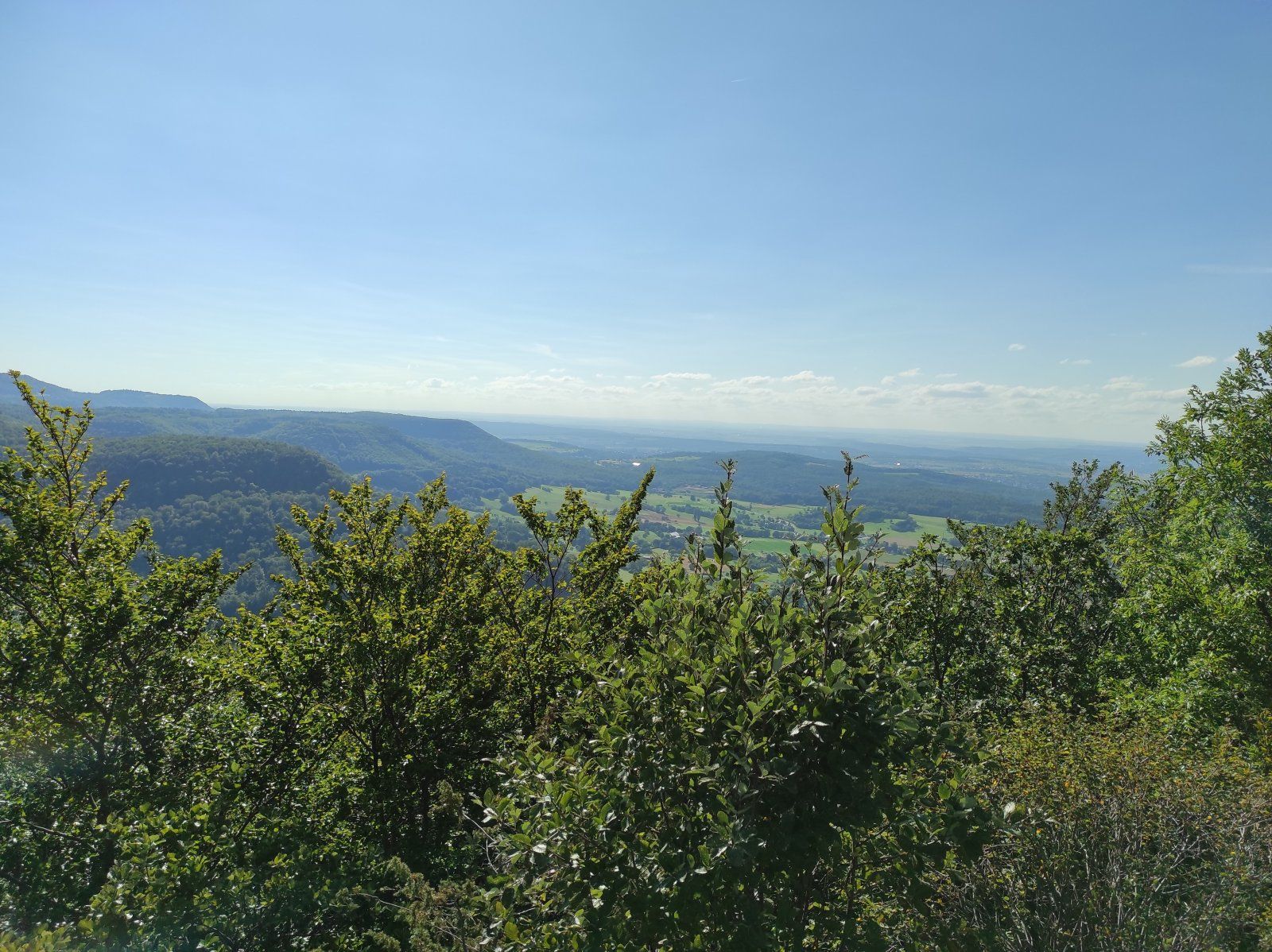 IMG_20210729_173612.jpg