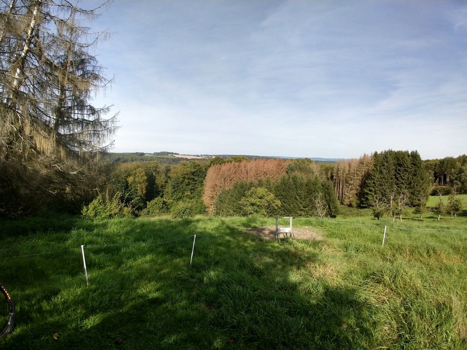 IMG_20210923_160100750_HDR[1].jpg