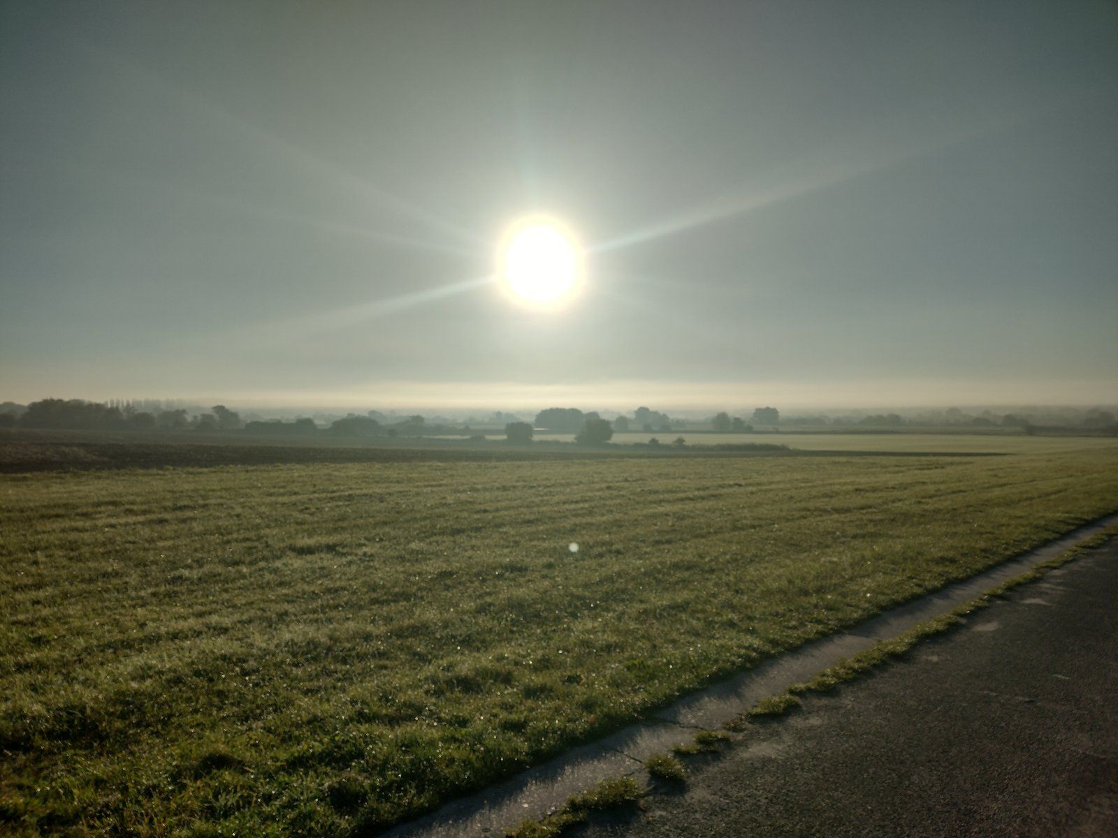 IMG_20211007_083045884_HDR.jpg