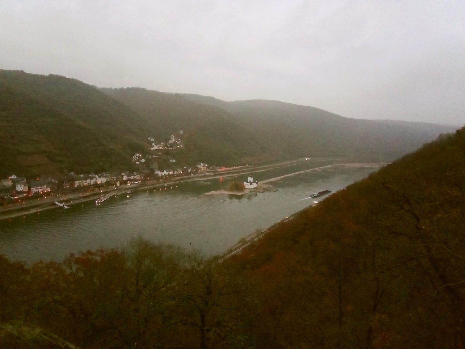 IMG_20211116_074350-01.jpeg