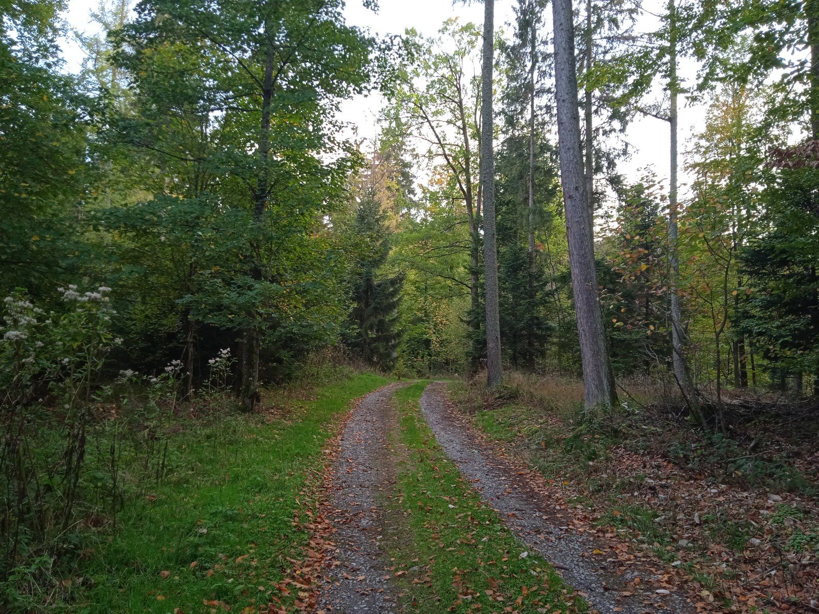 IMG_20221025_174734_1.jpg
