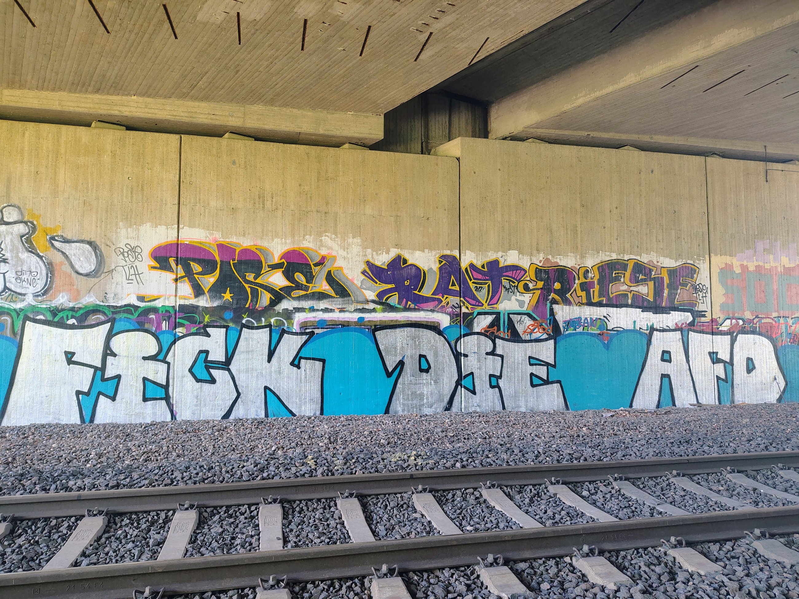 IMG_20250501_152443359_HDR_AE.jpg