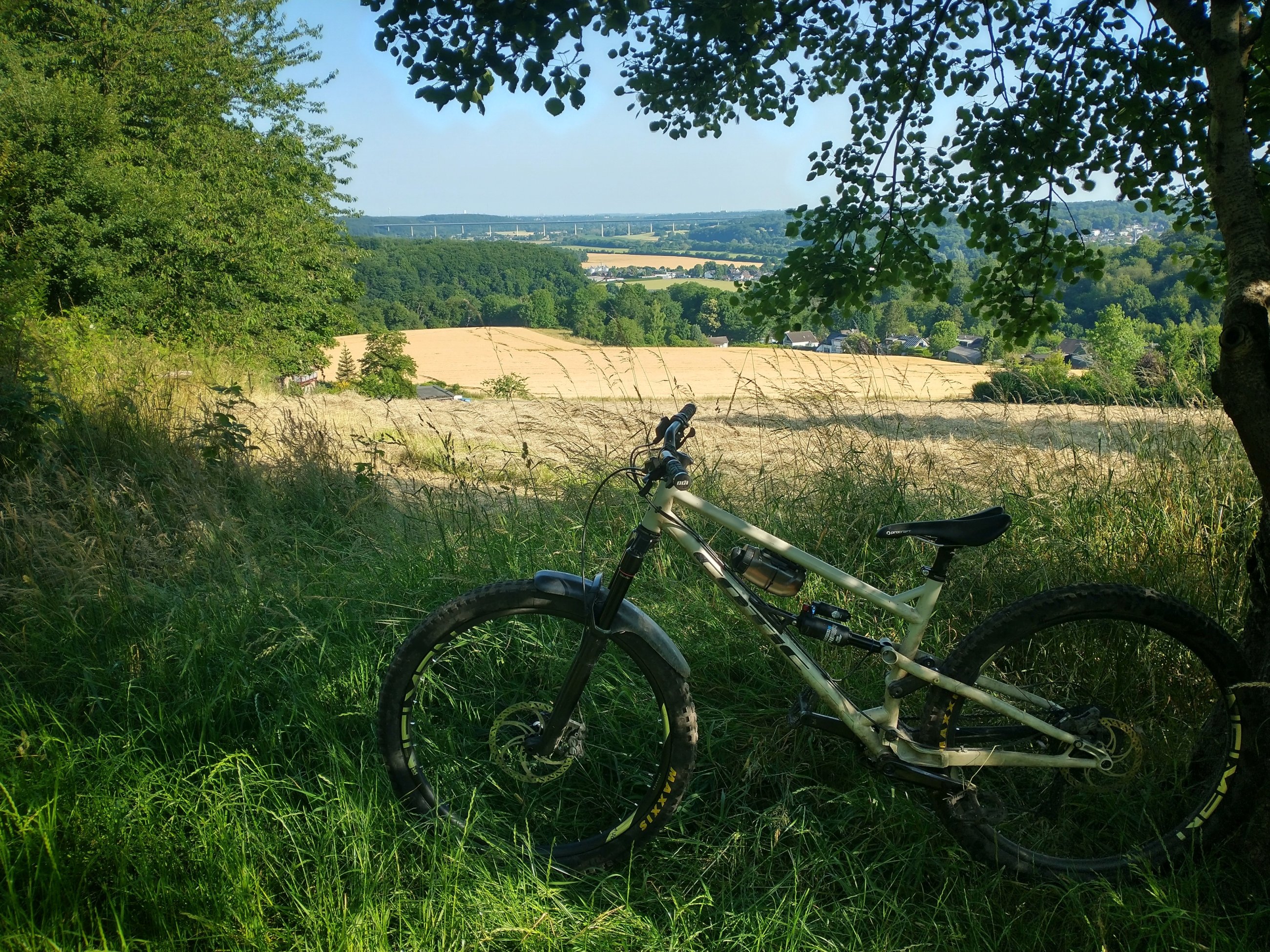IMG_20250619_083926786_HDR-01.jpeg