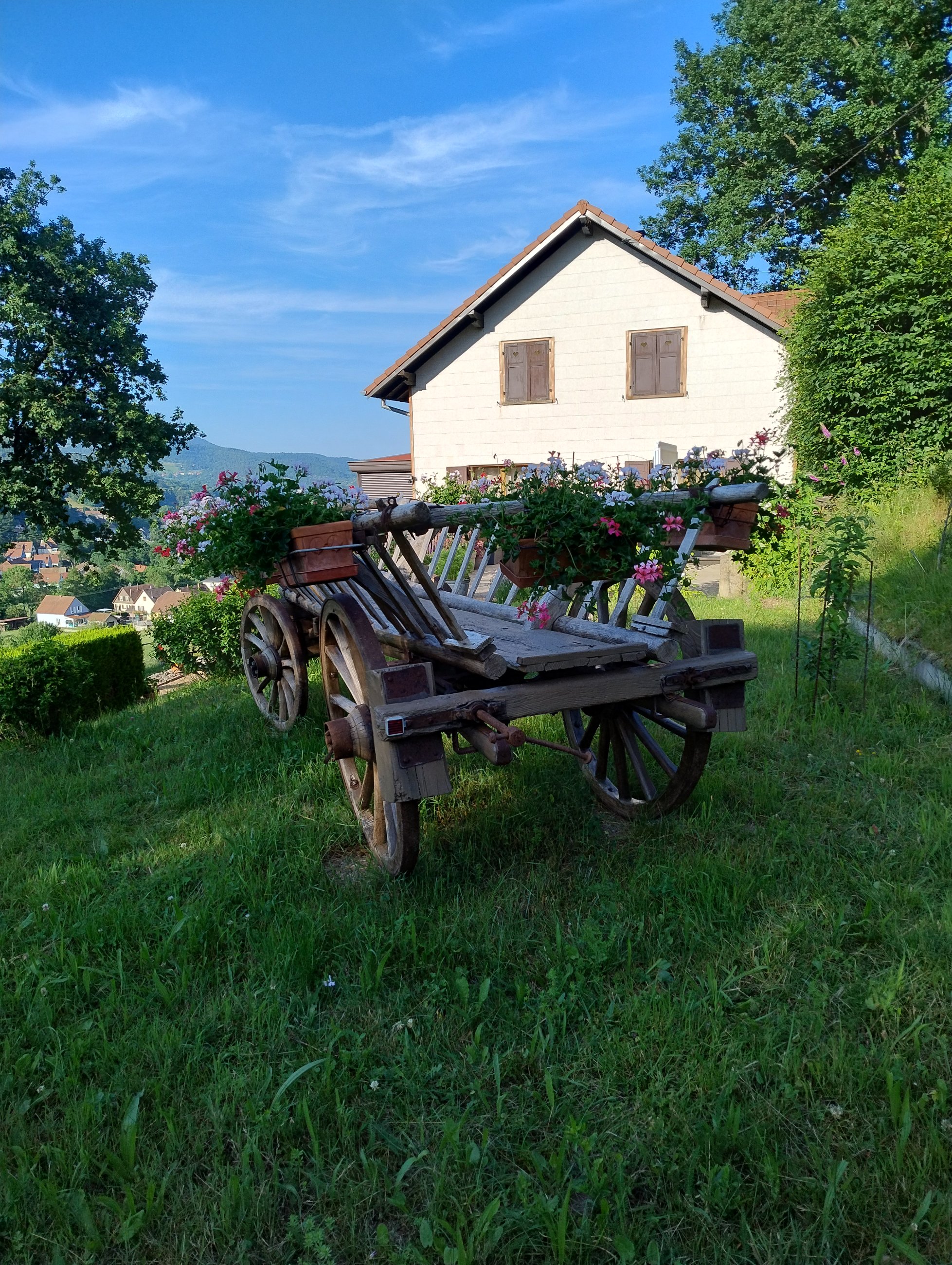 IMG_20250620_191140115_HDR.jpg