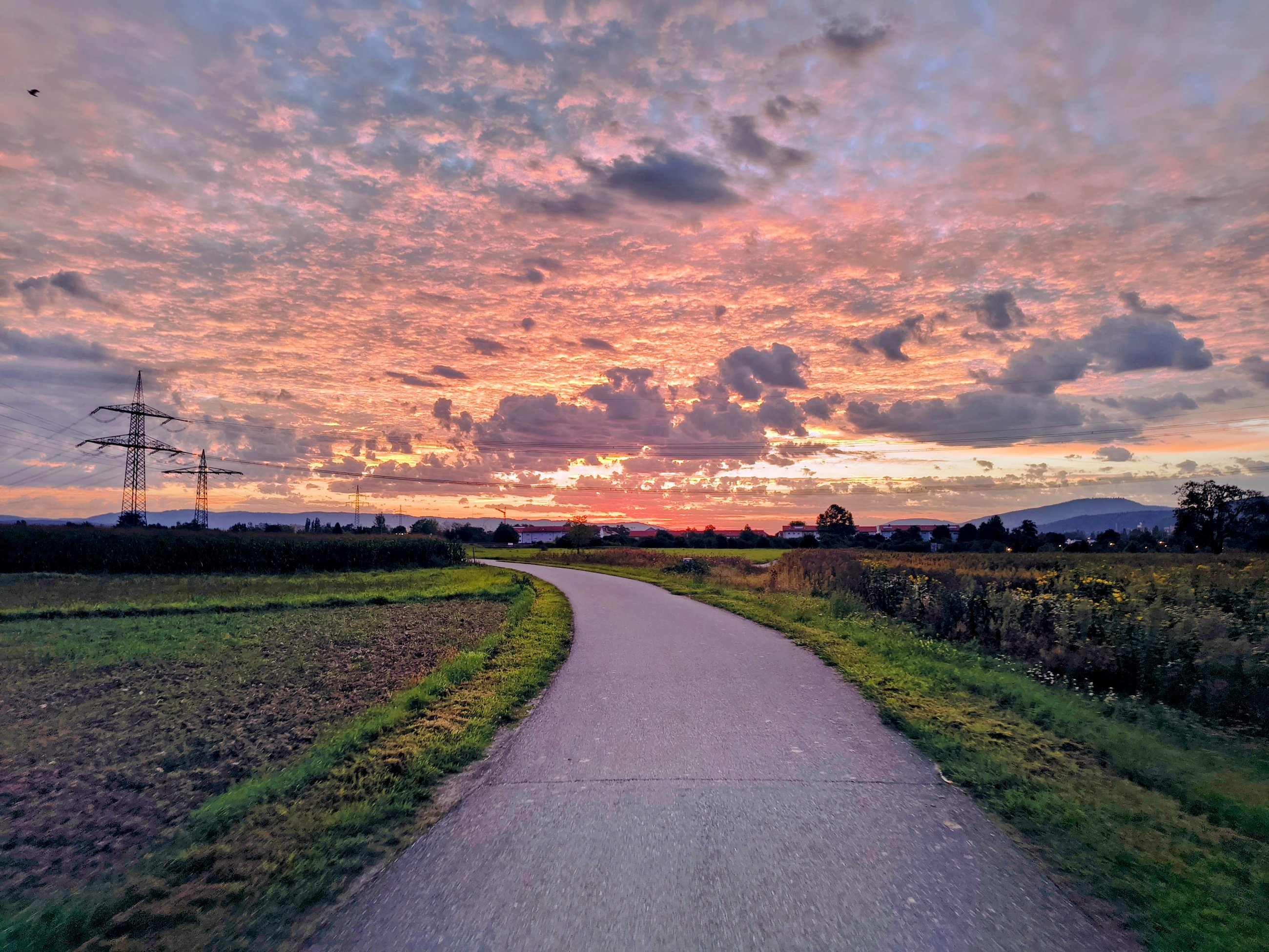 IMG_20250908_065016110_HDR_AE-EDIT.jpg